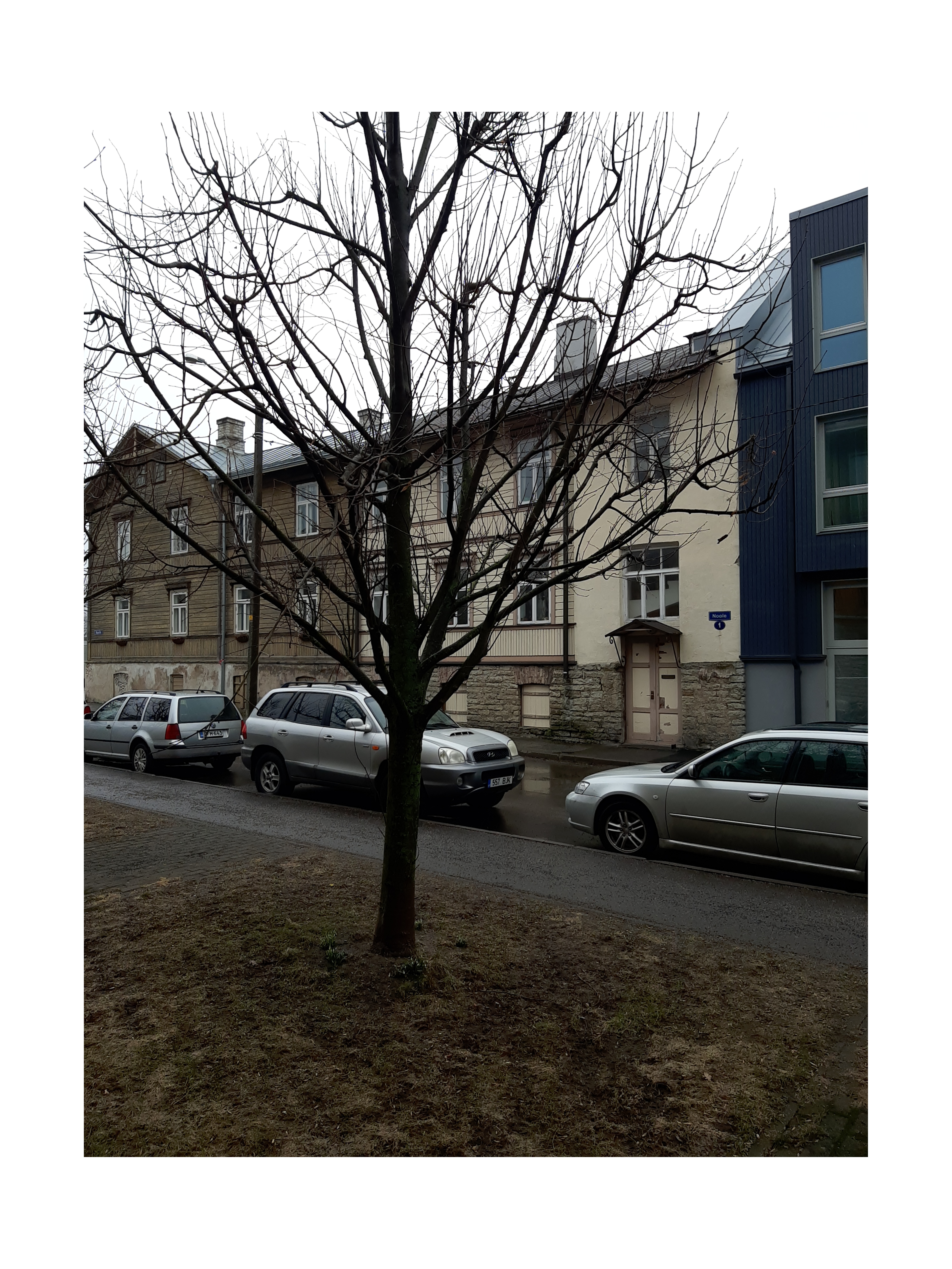 Noole t. 1 kahekordne puumaja rephoto