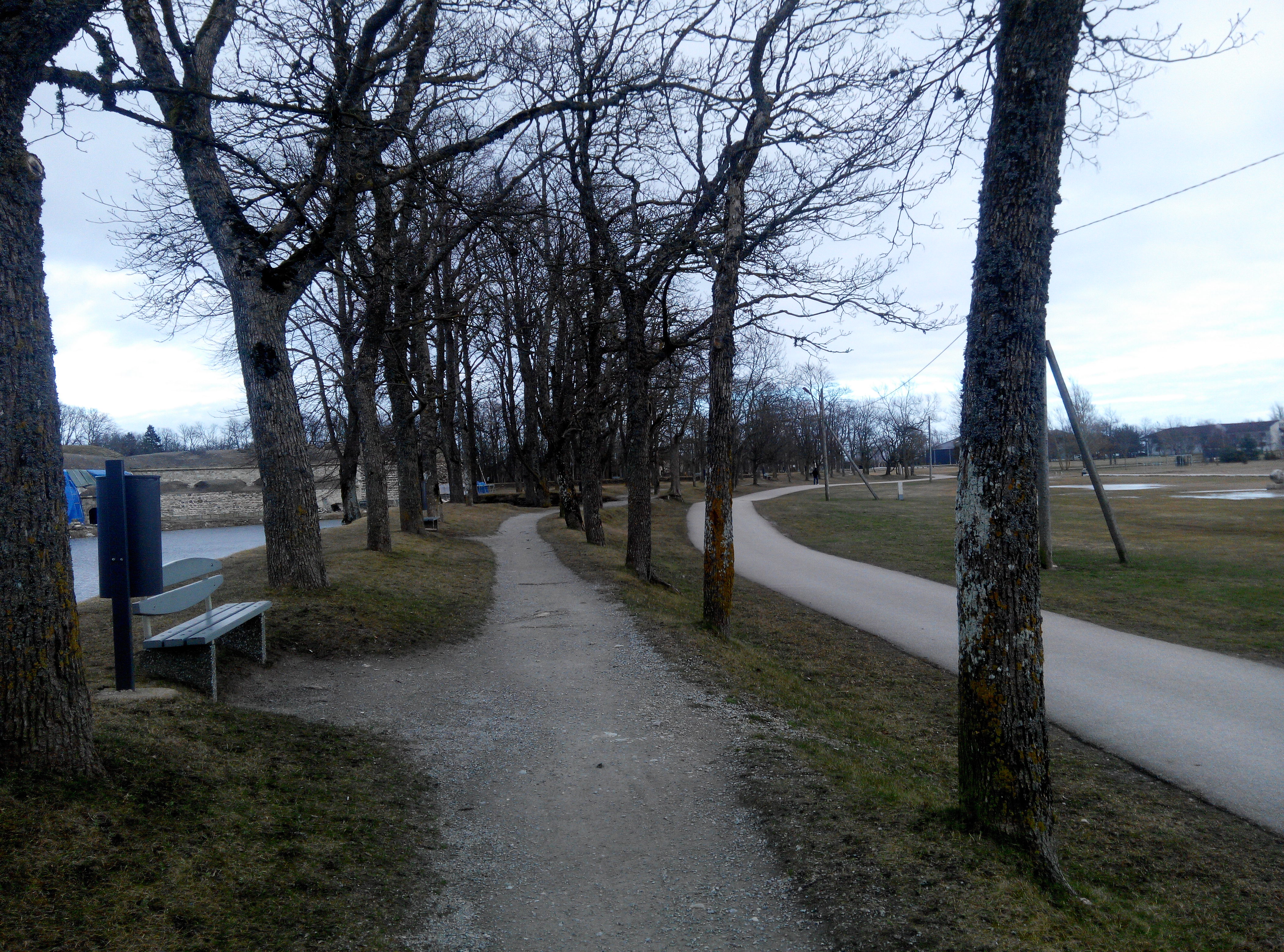 Kuressaare rand, vaade puiesteele, taamal daamid koeraga rephoto