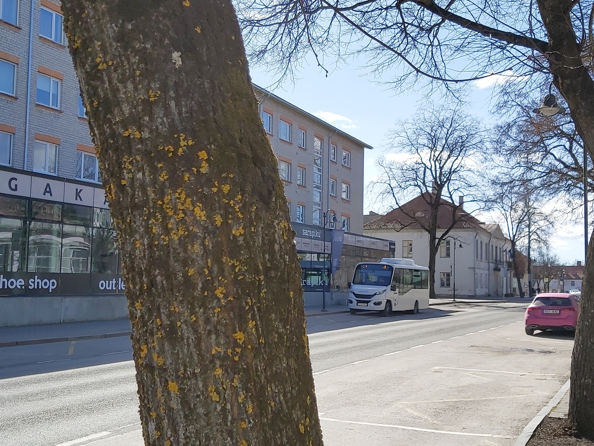 View of the street rephoto