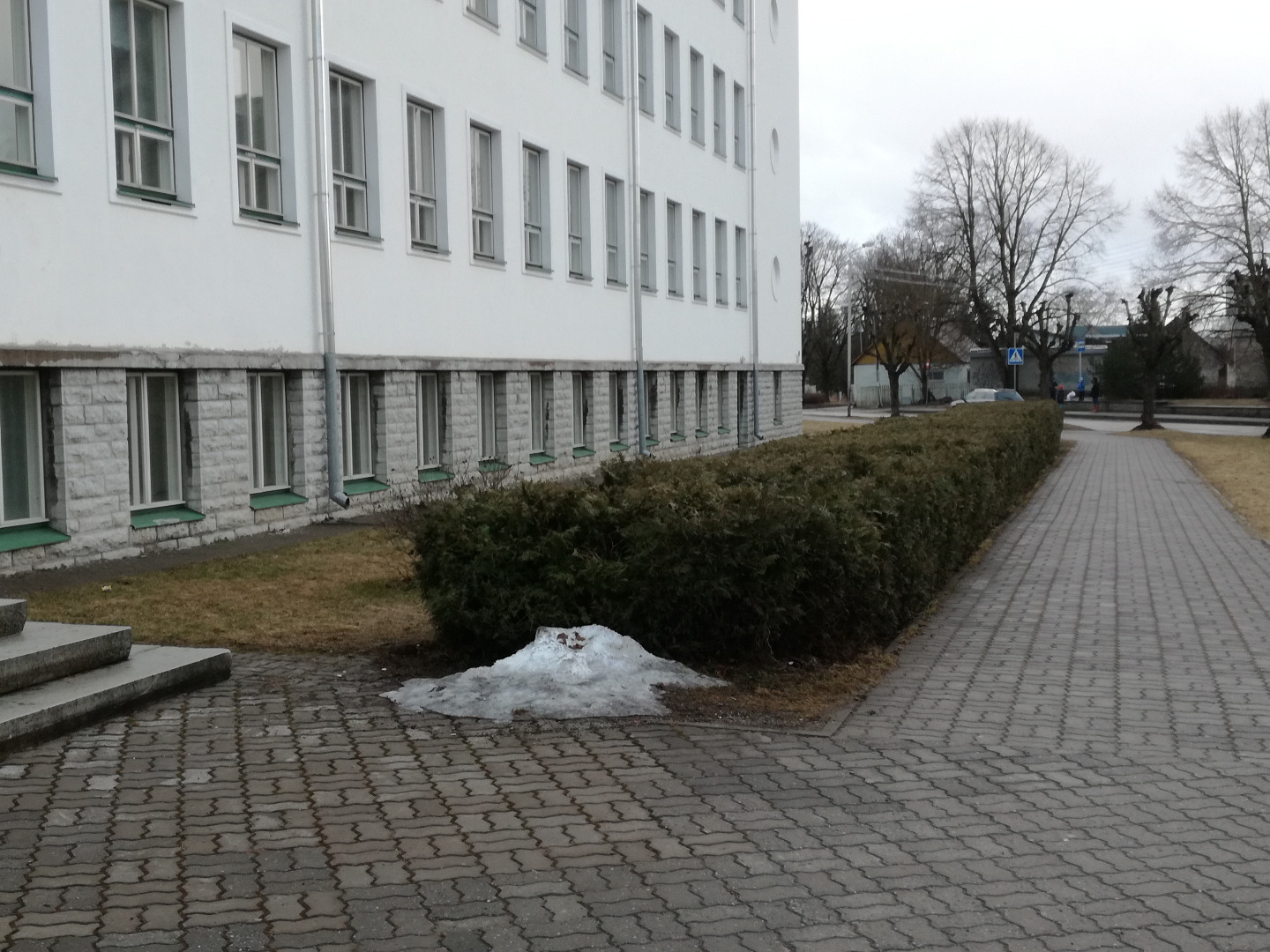 Rakvere Gümnaasiumi pere pidulik retk vanast koolimajast uude koolimajja rephoto