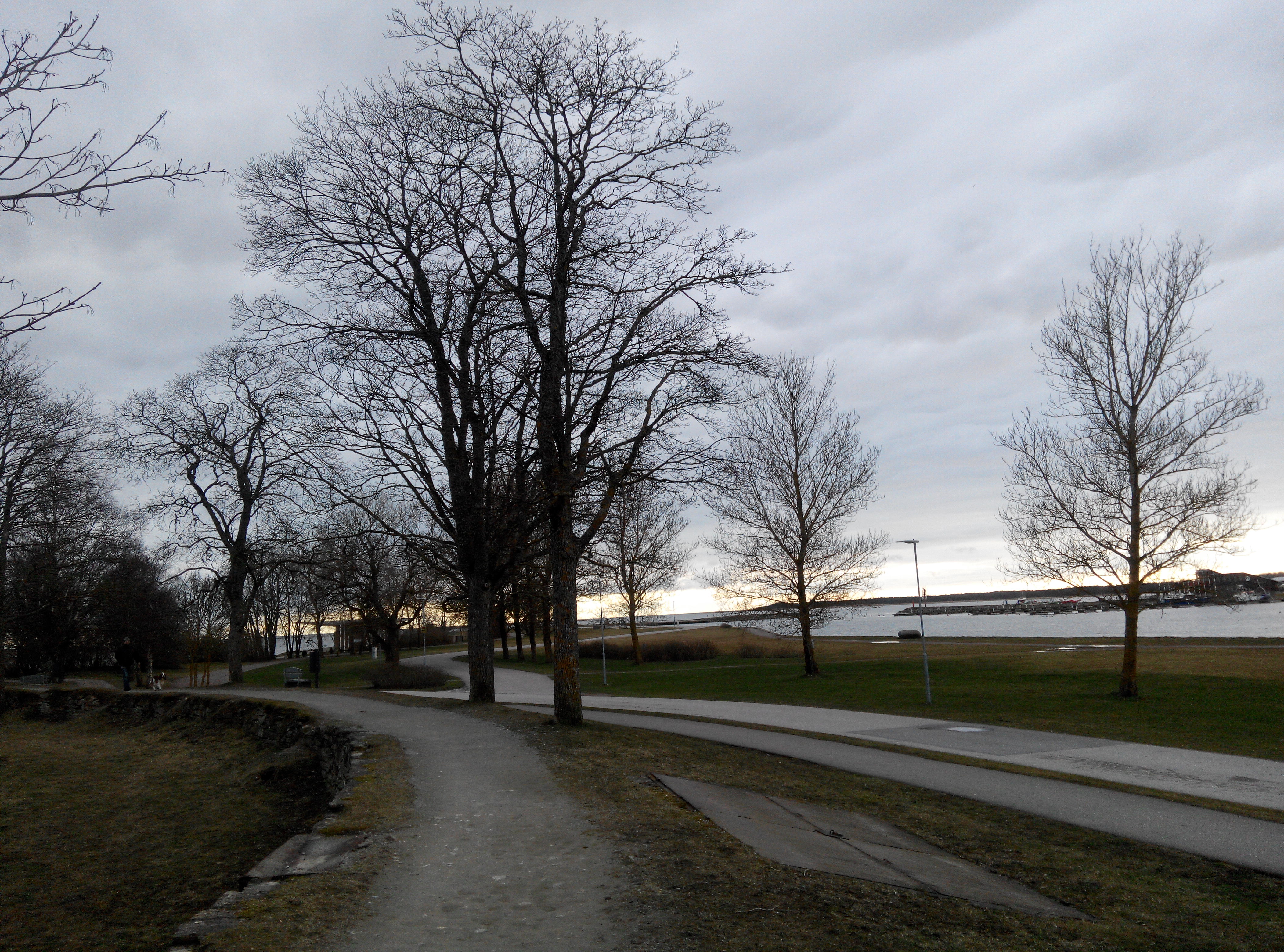 Kuressaare rand, vaade piki puiesteed, taamal kaks poissi rephoto