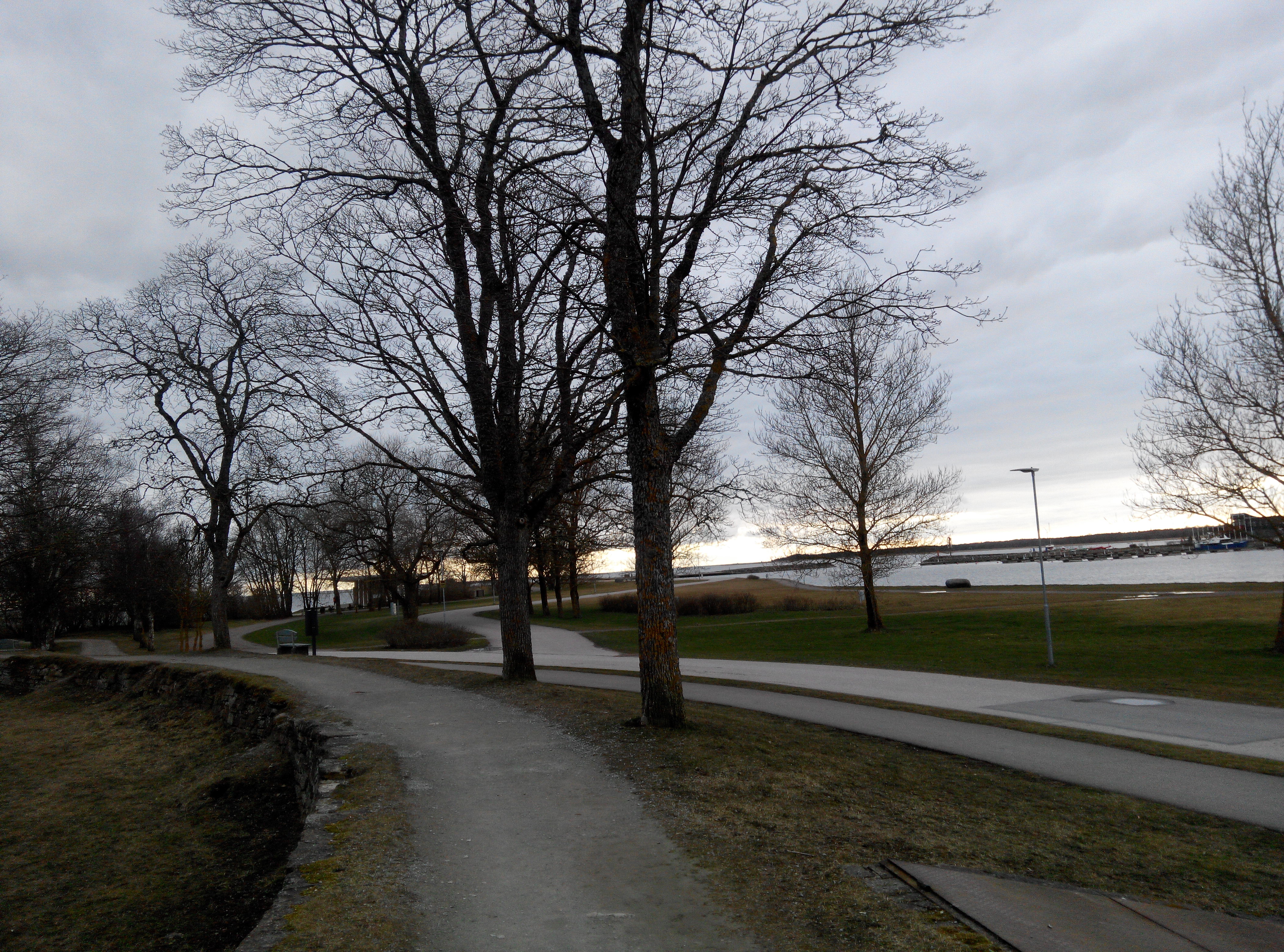 Kuressaare rand, vaade piki puiesteed, taamal kaks poissi rephoto