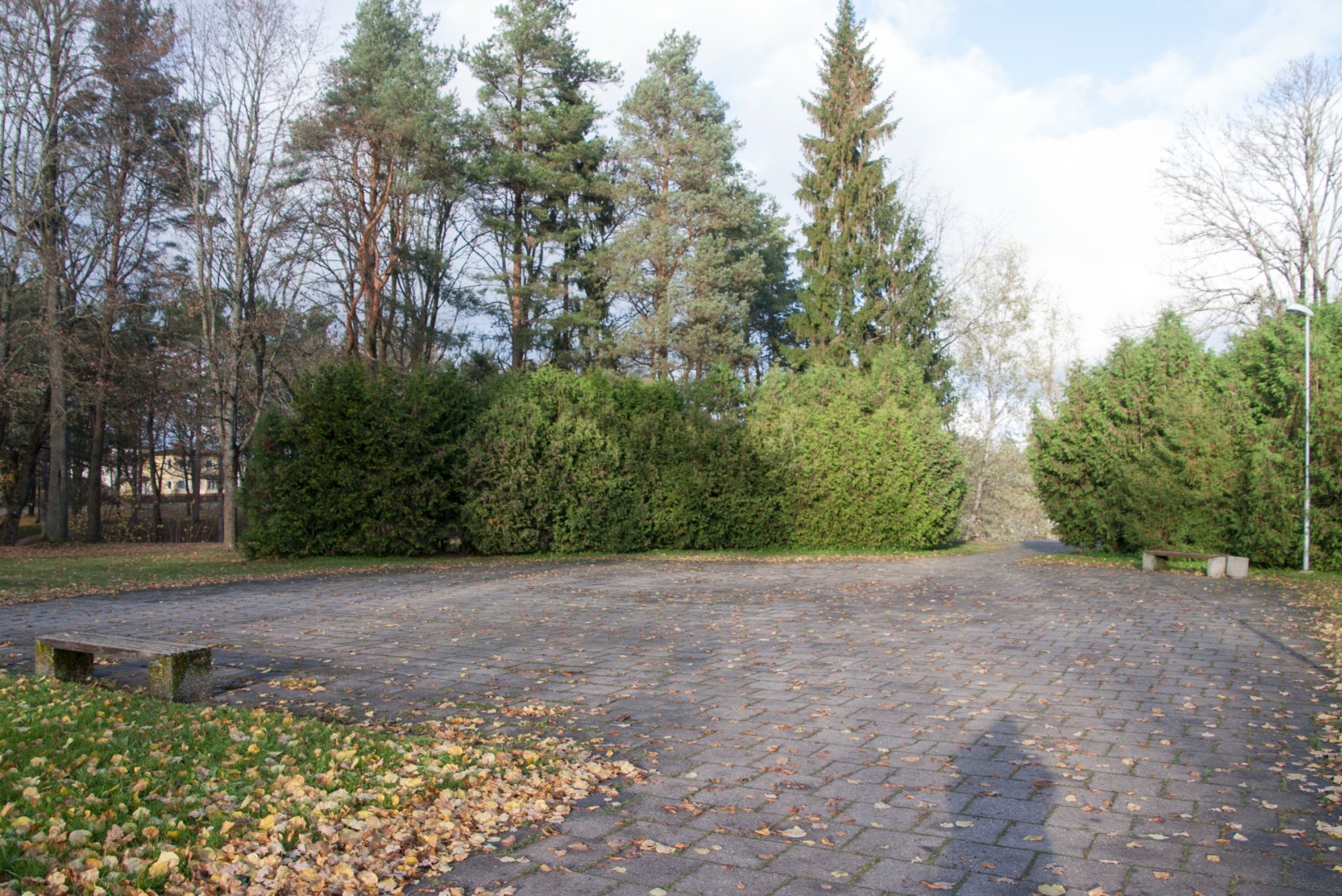 foto, Viljandi, Uueveski ausammas, pioneerid, Porvoo lastekoor jt, 1977, foto E. Veliste rephoto