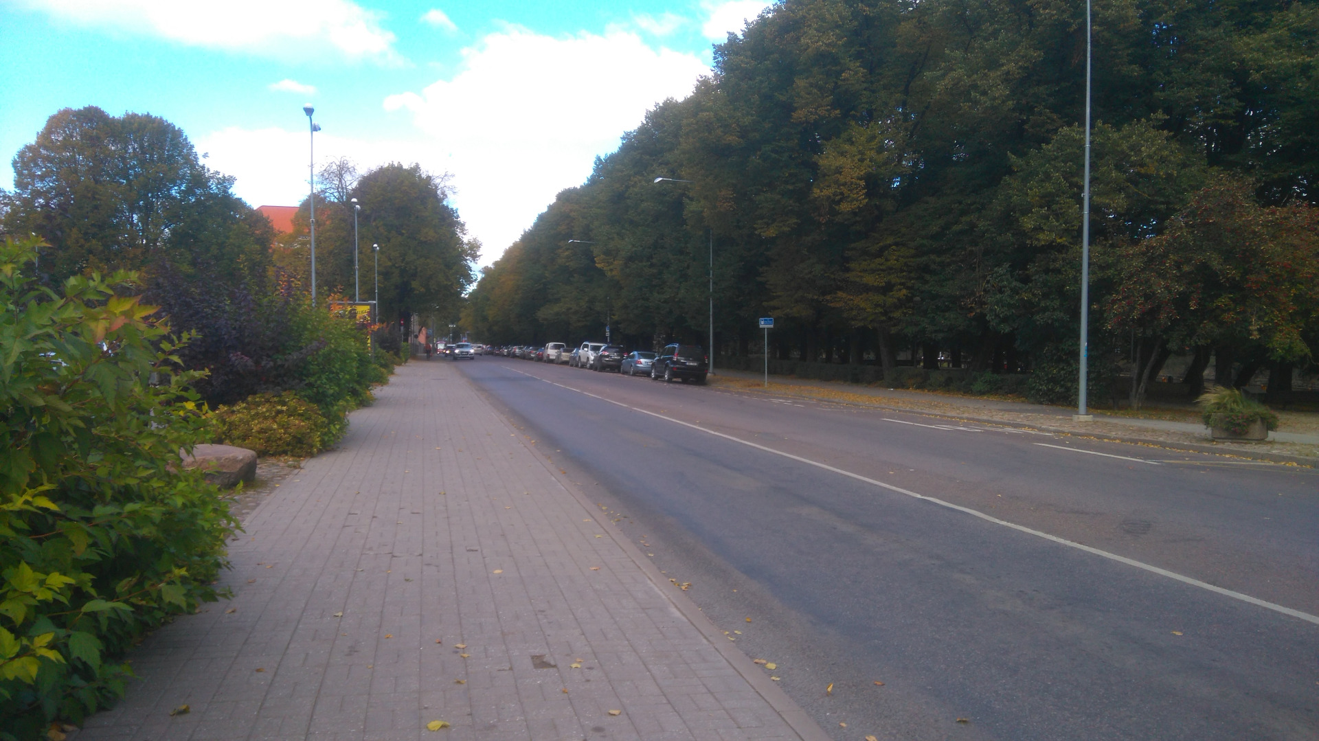 View from the Raekoja square towards the botanical garden: October (Vabaduse) puiestee, green area, bank building (Munga t 8; arh. A. Matteus). Tartu, 1964. rephoto