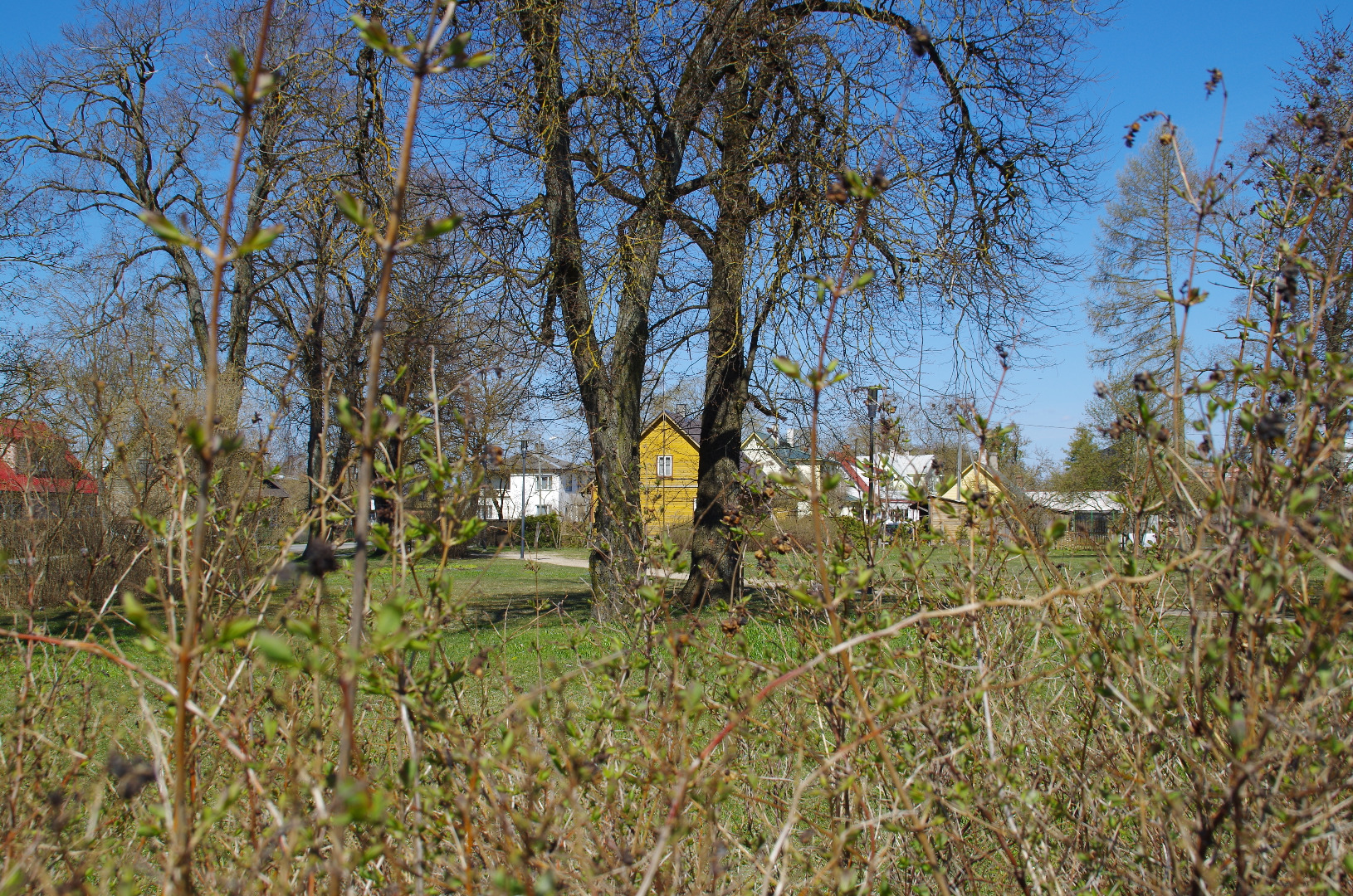 Rakvere German cemetery rephoto