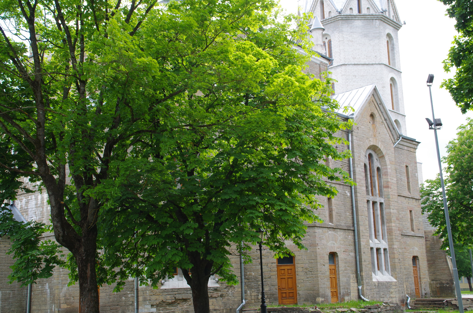 Evangelical Lutheran Church of John rephoto
