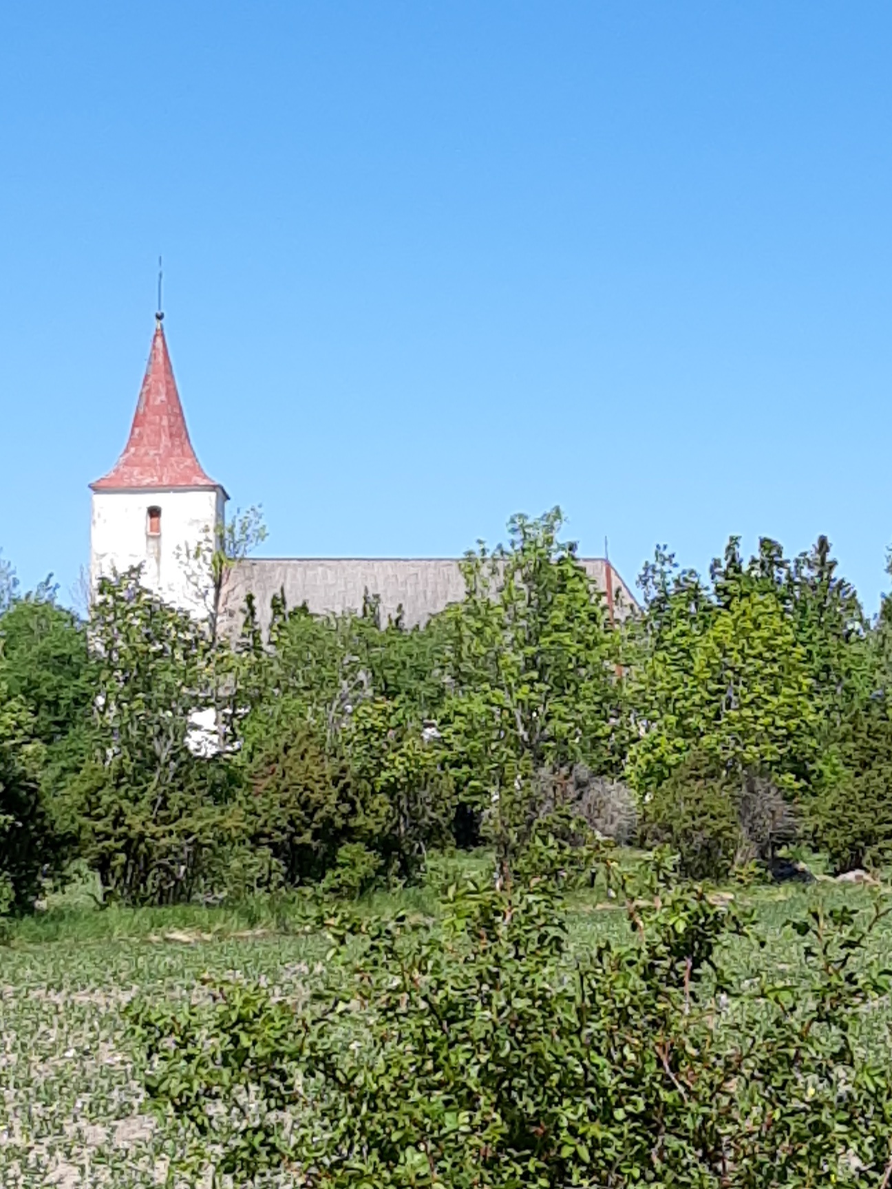 Reigi kirik, vaade hoonele lõunast rephoto