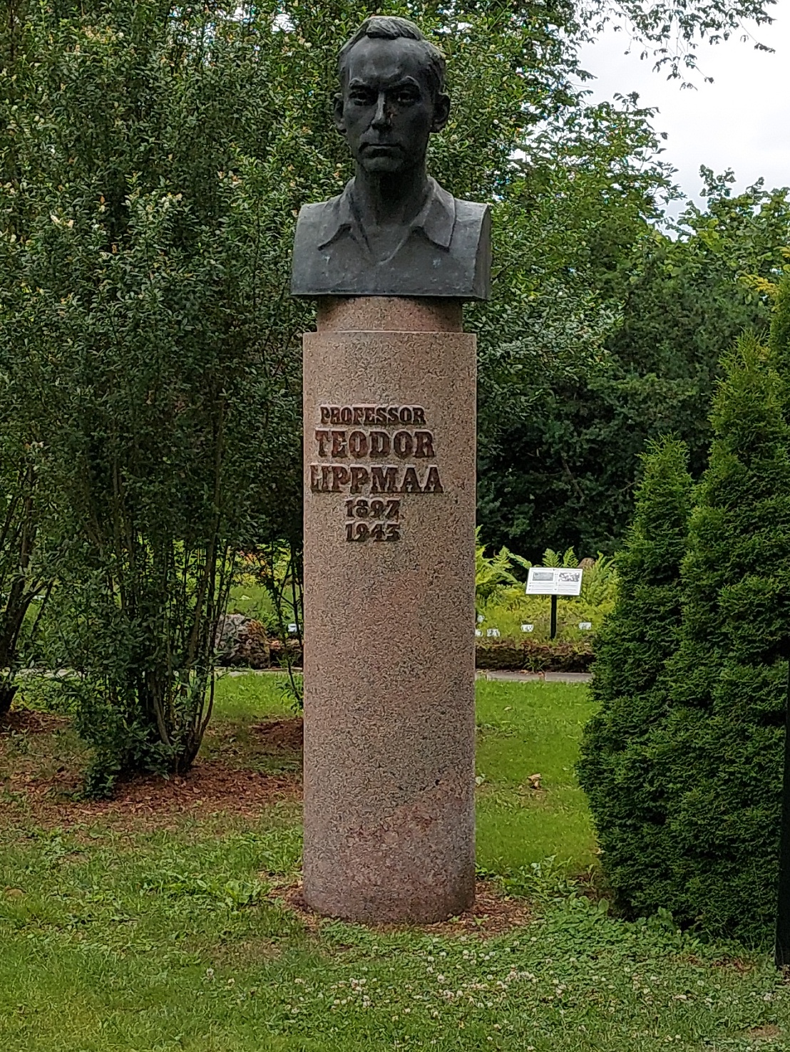 Tartu linnavaade. Teodor Lippmaa monument, Lai tn 38, Tartu Ülikooli Botaanikaaias. 1985.a. rephoto