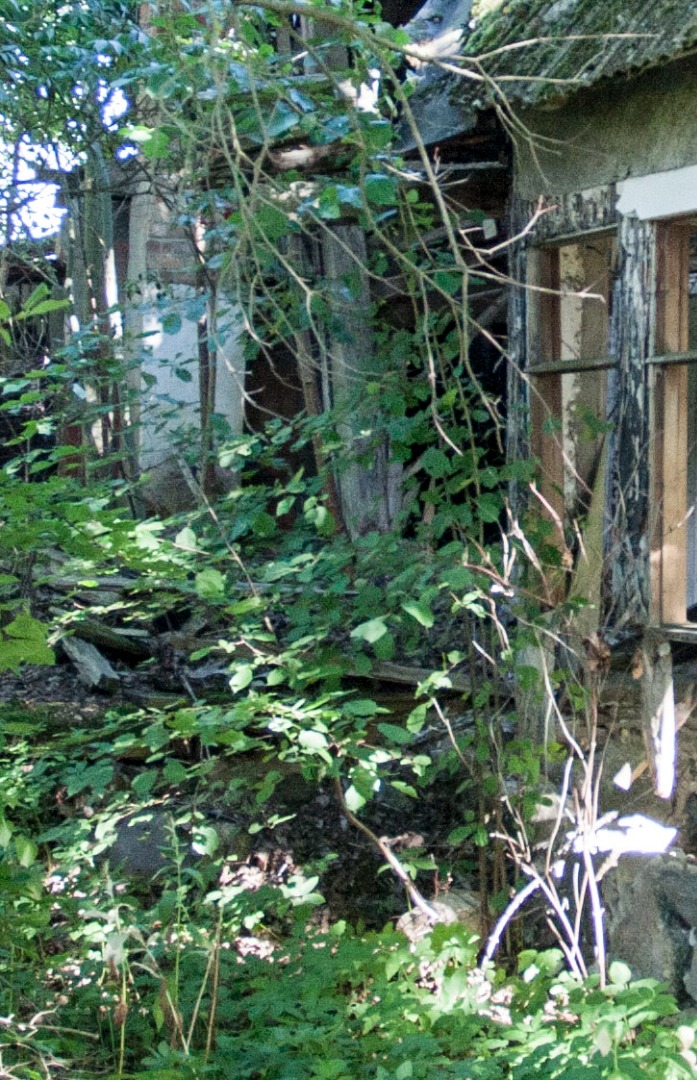 Rudolf Sirge Jaan Kärner at the opening of the memorial drawer 27. V 1961 rephoto