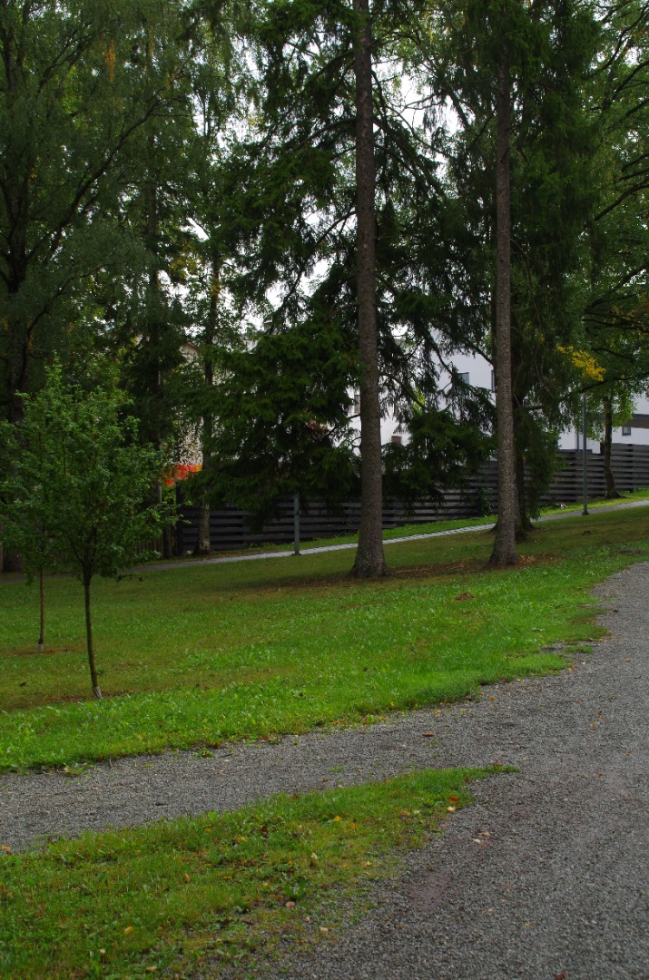 Rakvere, park Kastani ja Kingissepa tänava vahel rephoto
