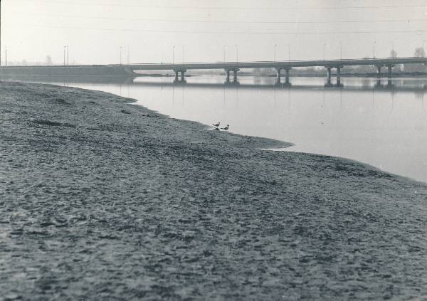 Sõpruse sild Tartus, vaade Anne – Rein Treier - Ajapaik