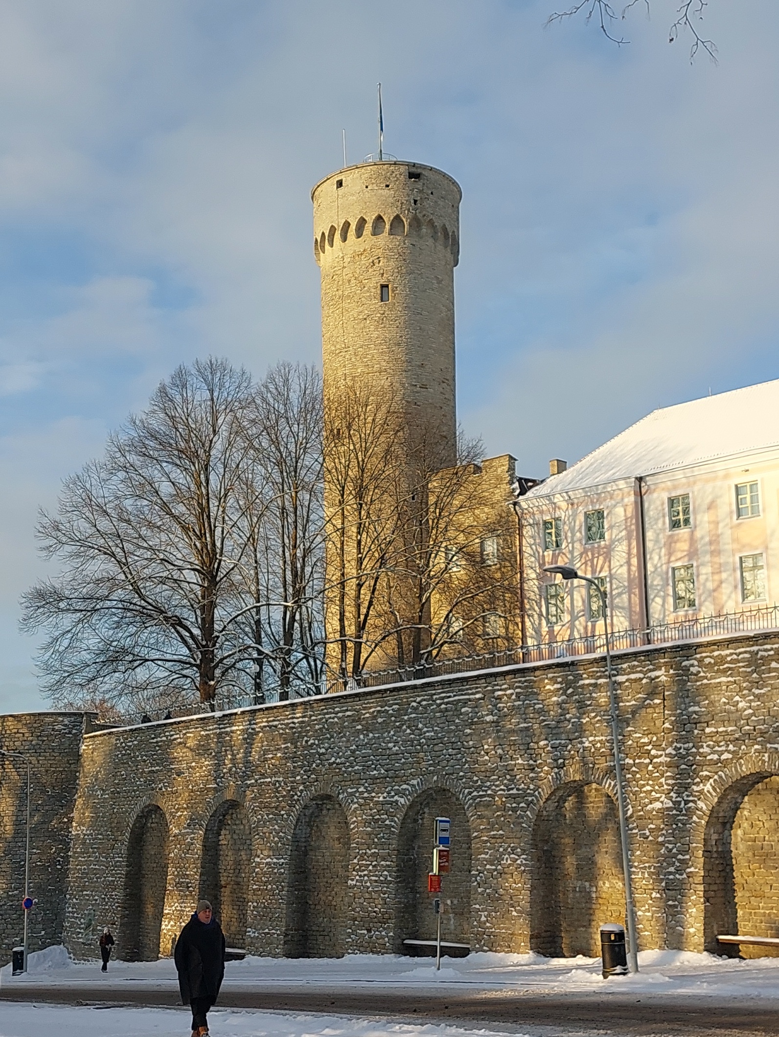 Tallinn Pikk Hermann rephoto