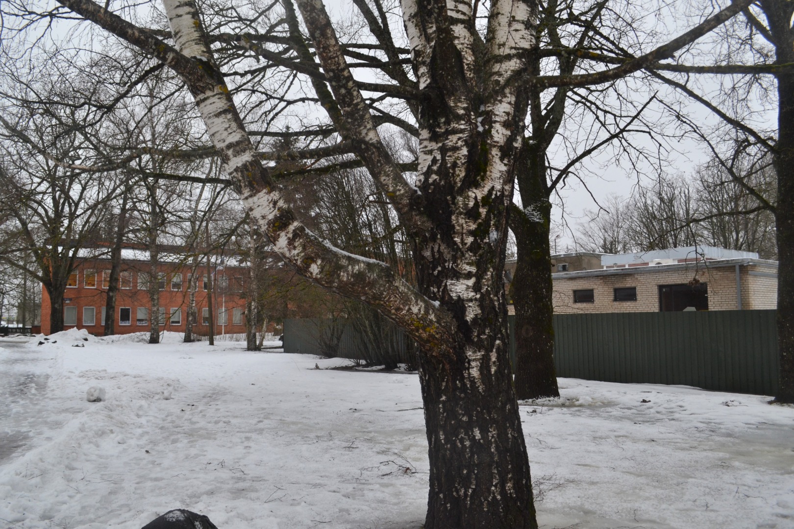 Kolhoos Valtu. rephoto