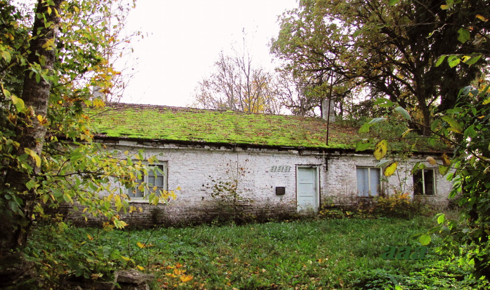 Kiviloo raamatukogu rephoto