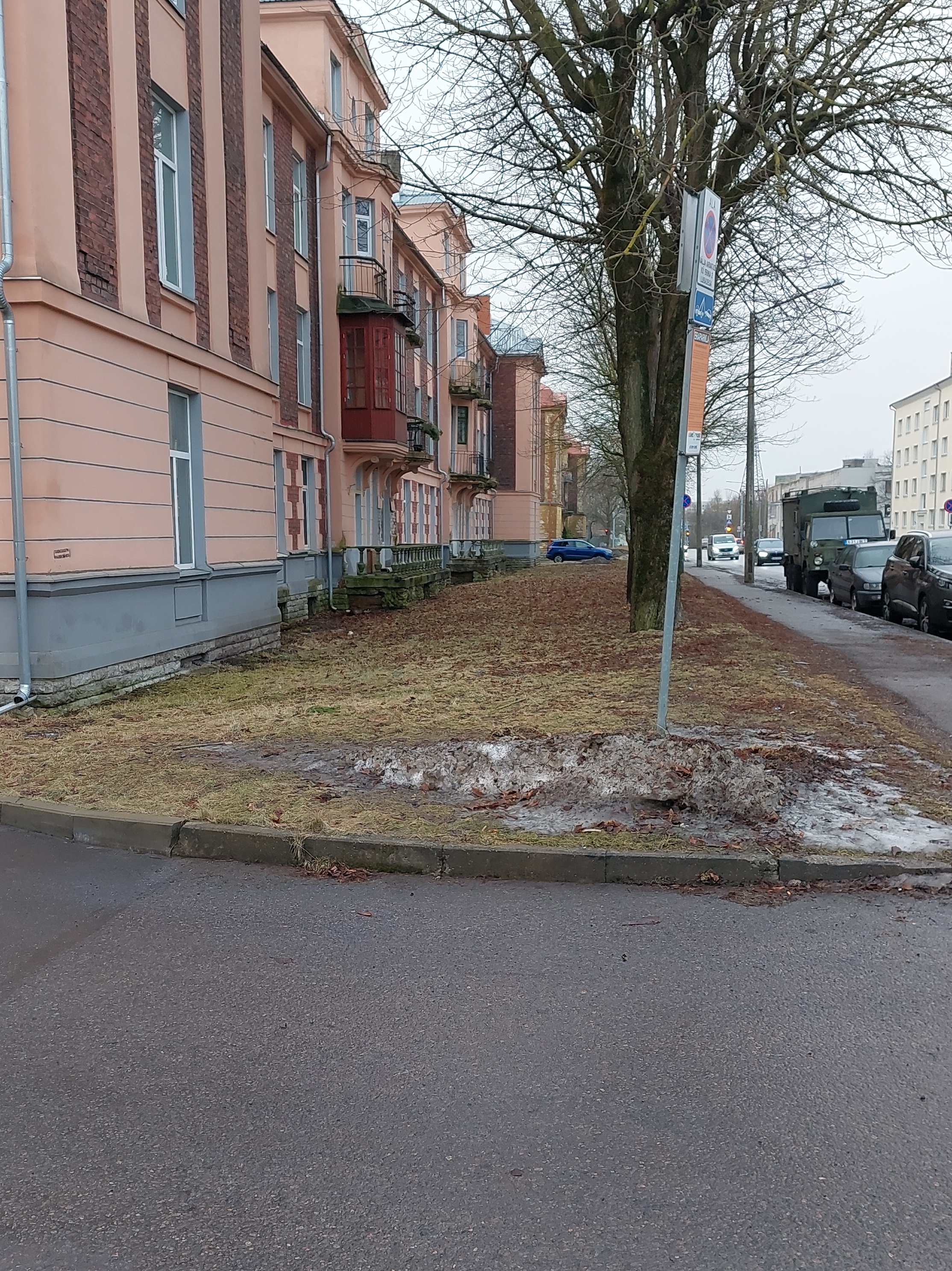 Erika Street. rephoto