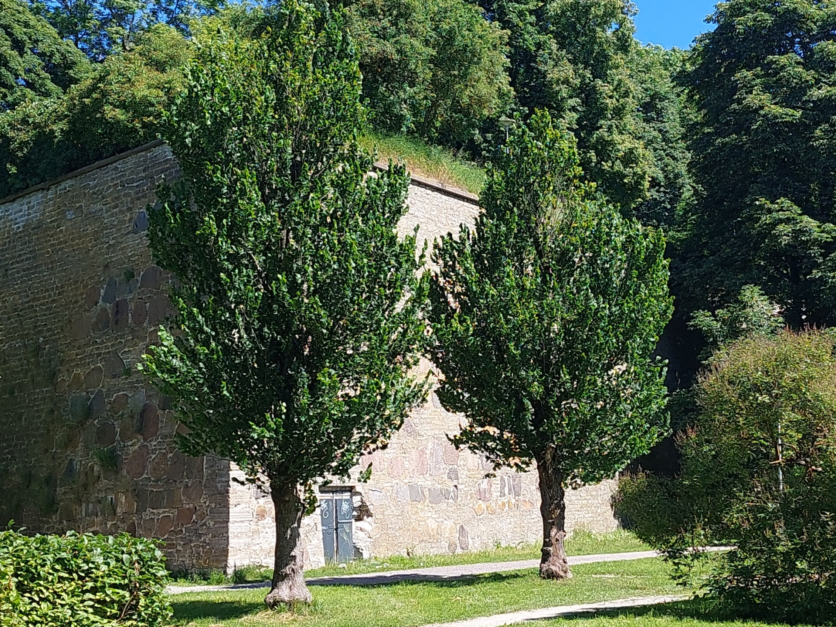 Rootsi bastioni tugimüür. rephoto