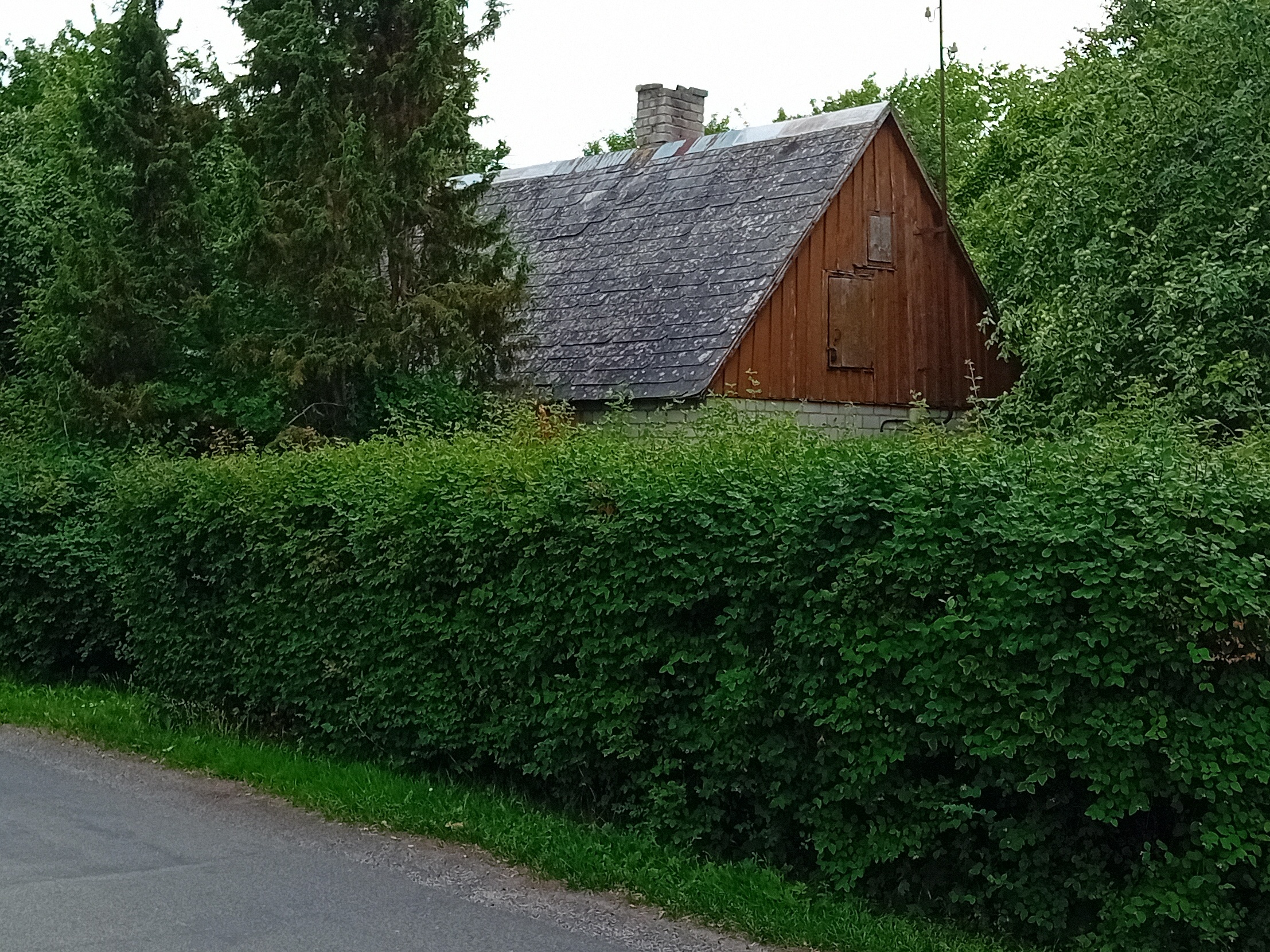 Karl Lõhmuse sepikoda Kõver  4 rephoto