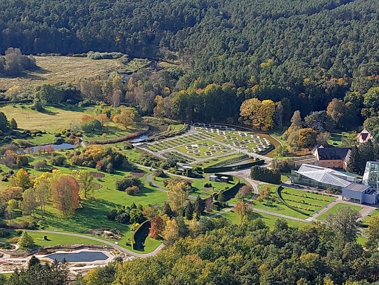 View of the TV Tower rephoto