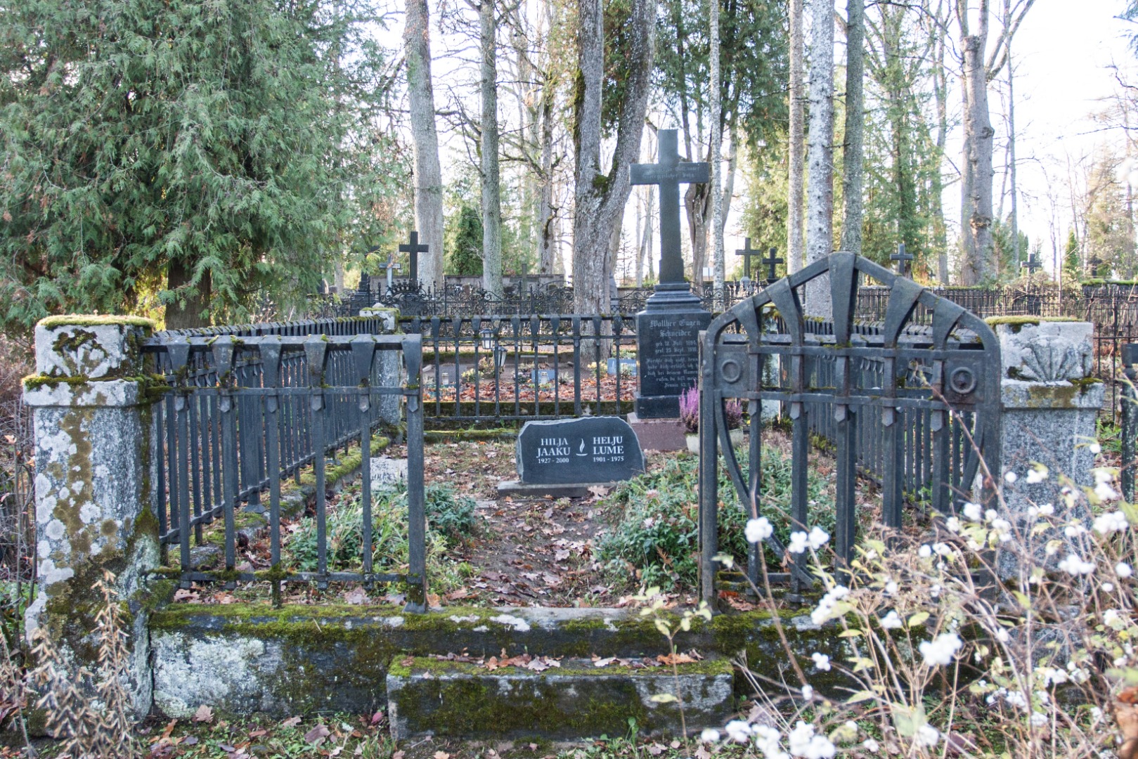 Walther Eugen Schneideri hauaplats kalmistul. rephoto