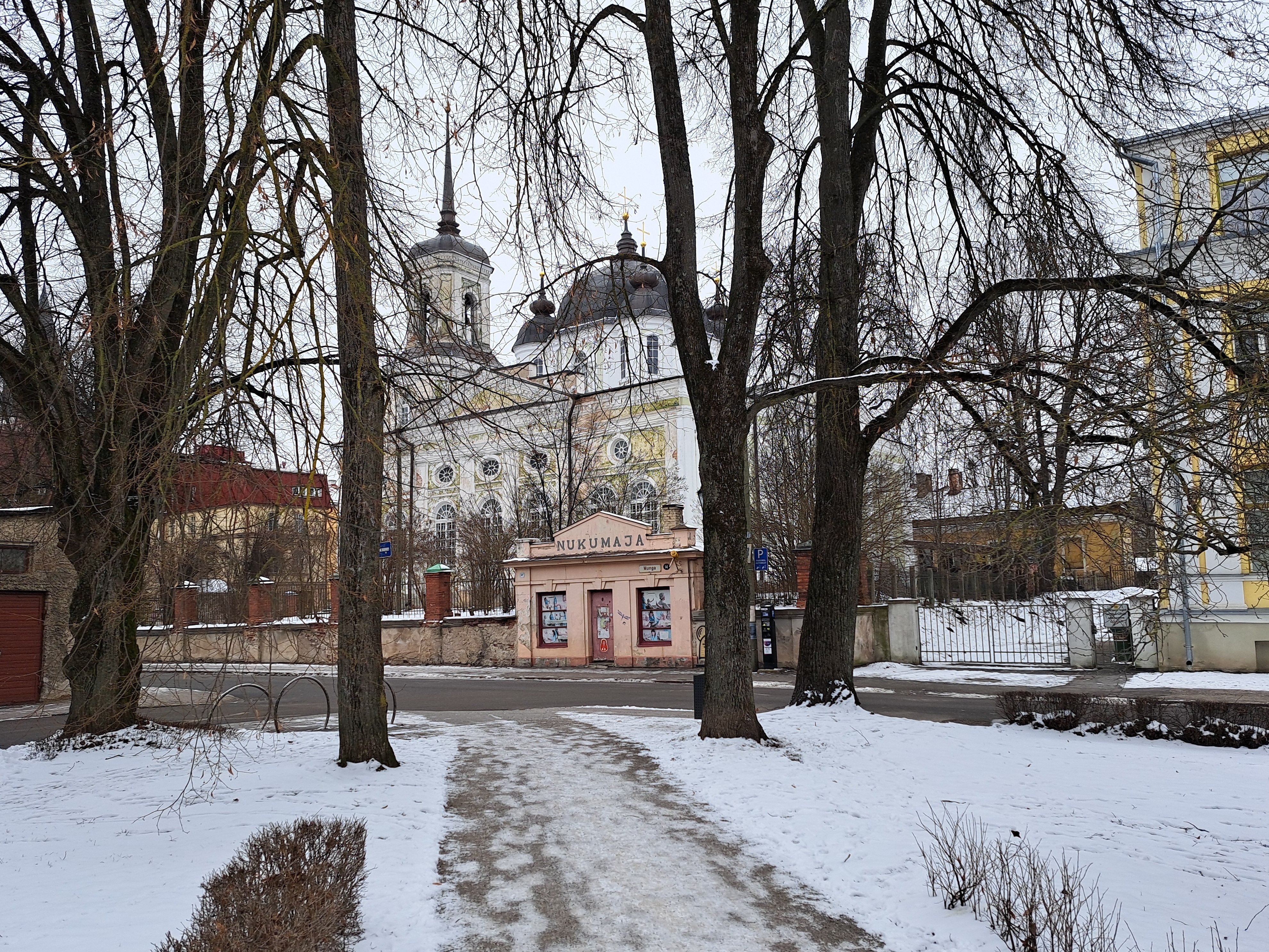 EAÕK Tartu God's Mother's sleeping (Uspenski) cathedral rephoto