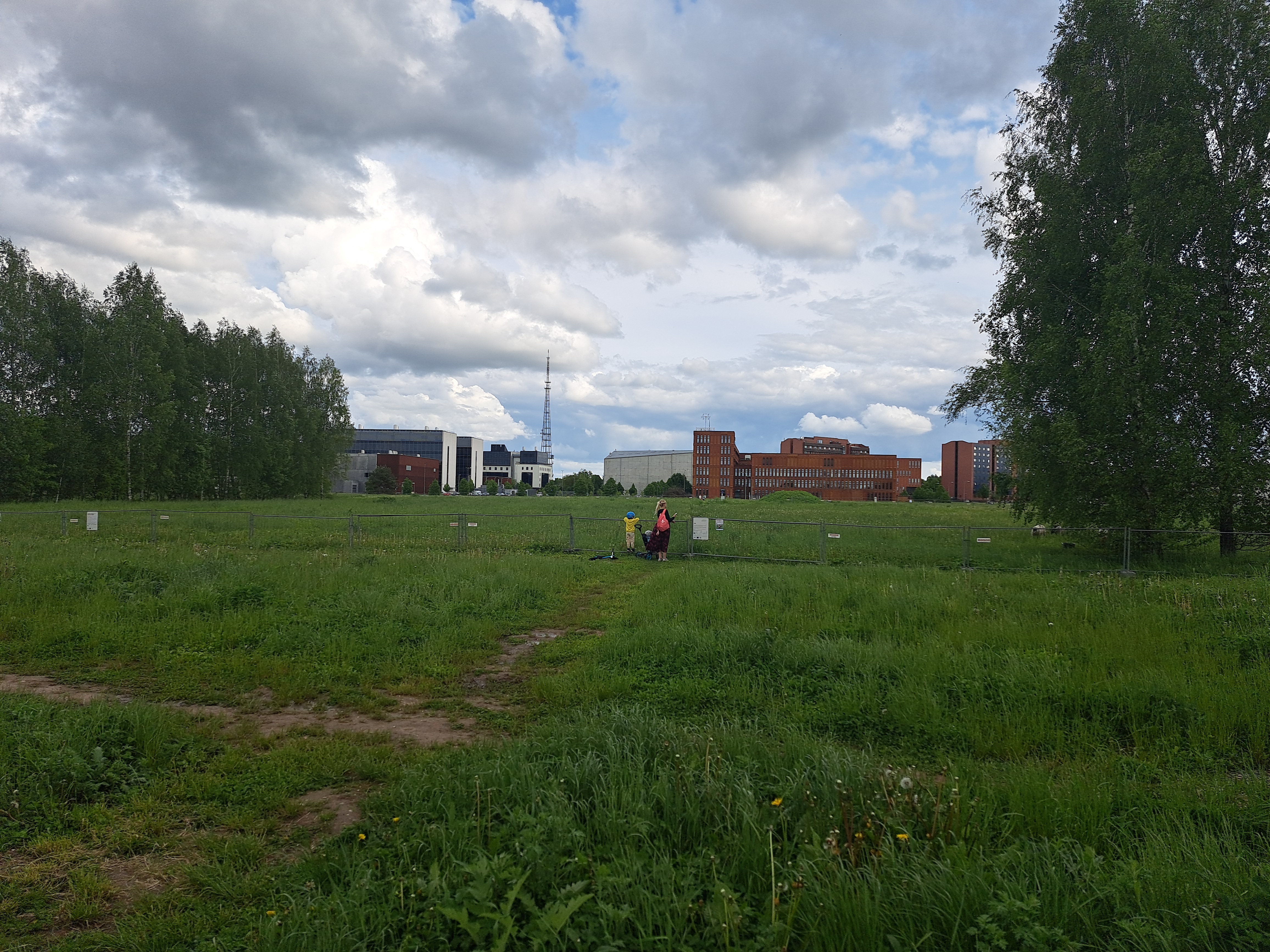 Aiamaad Tartus Ravila tänaval rephoto