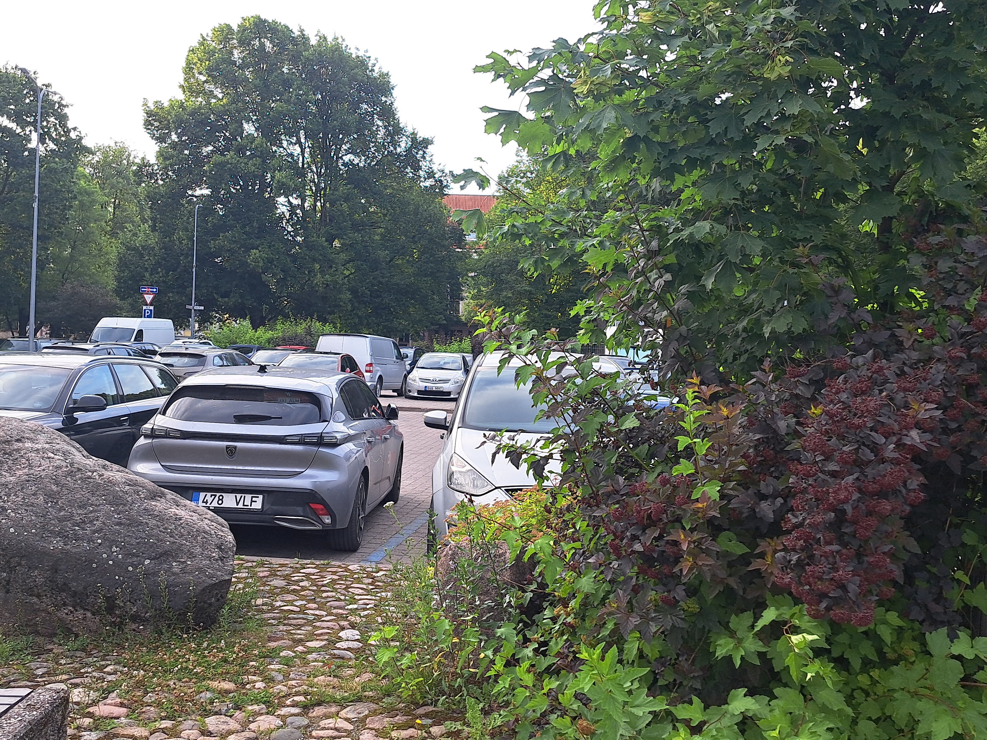 Tartu vana liha- ja kalaturg. rephoto