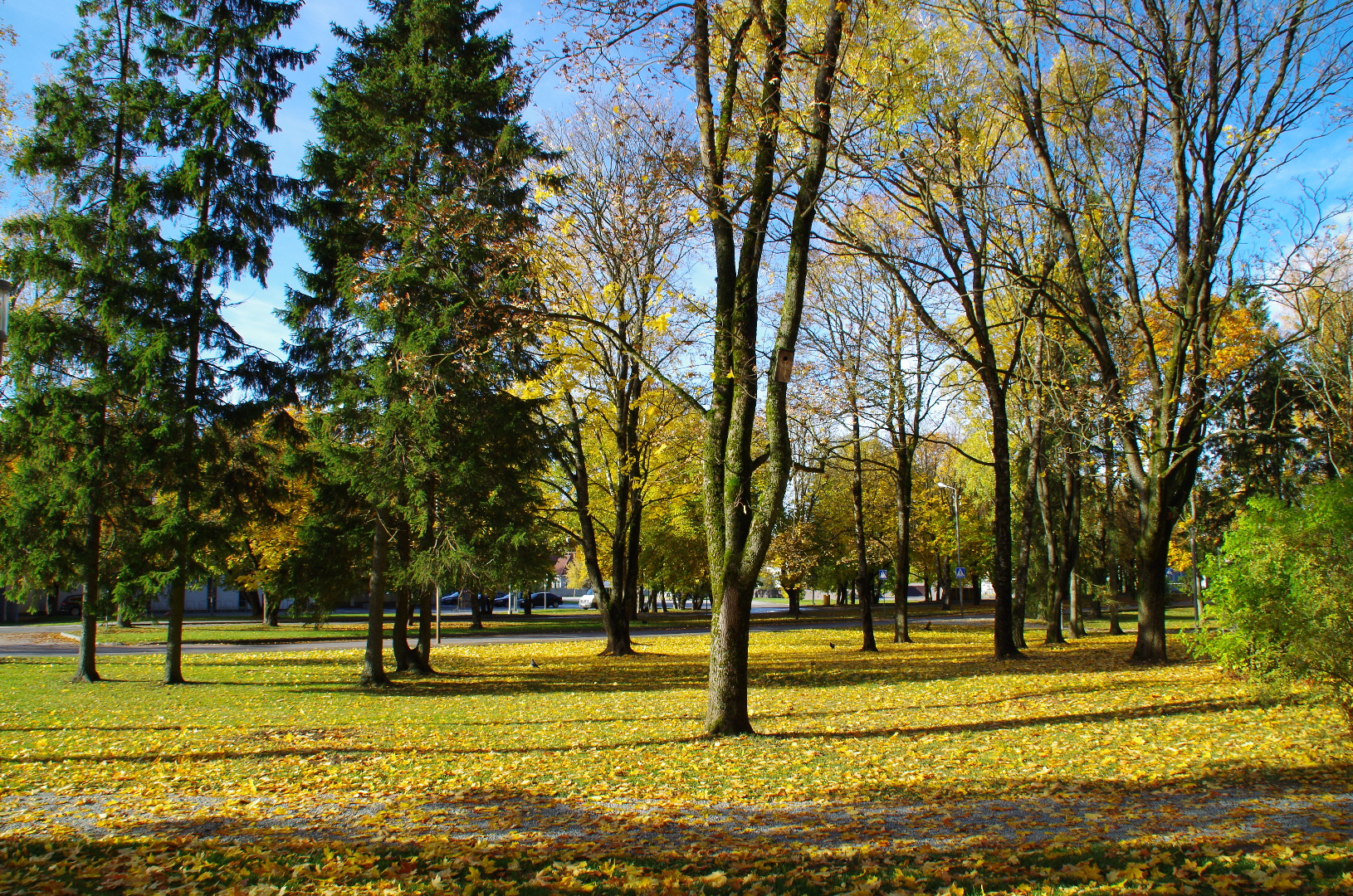 Rakvere, vaade Koidula ja Kastani tänava pargist rephoto