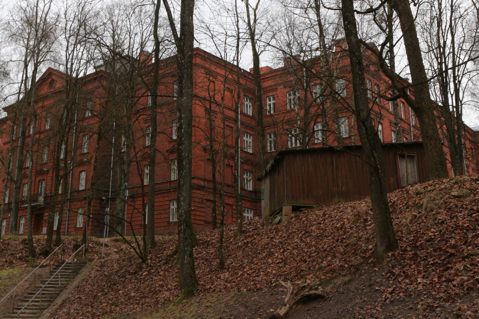 Postkaart Andrus Ansipi kogust. Keskarhiiv rephoto