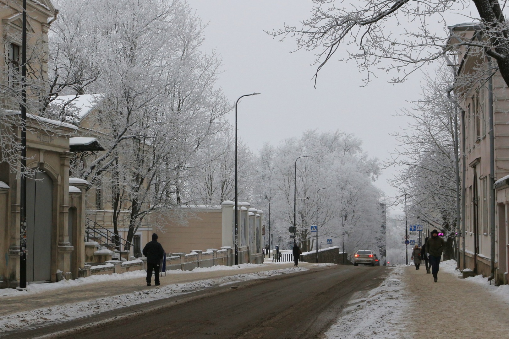 Tartu linnavaade. Aia tn (Vanemuise tn 19 hoone kohalt kesklinna suunas). 20. sajandi algus. rephoto