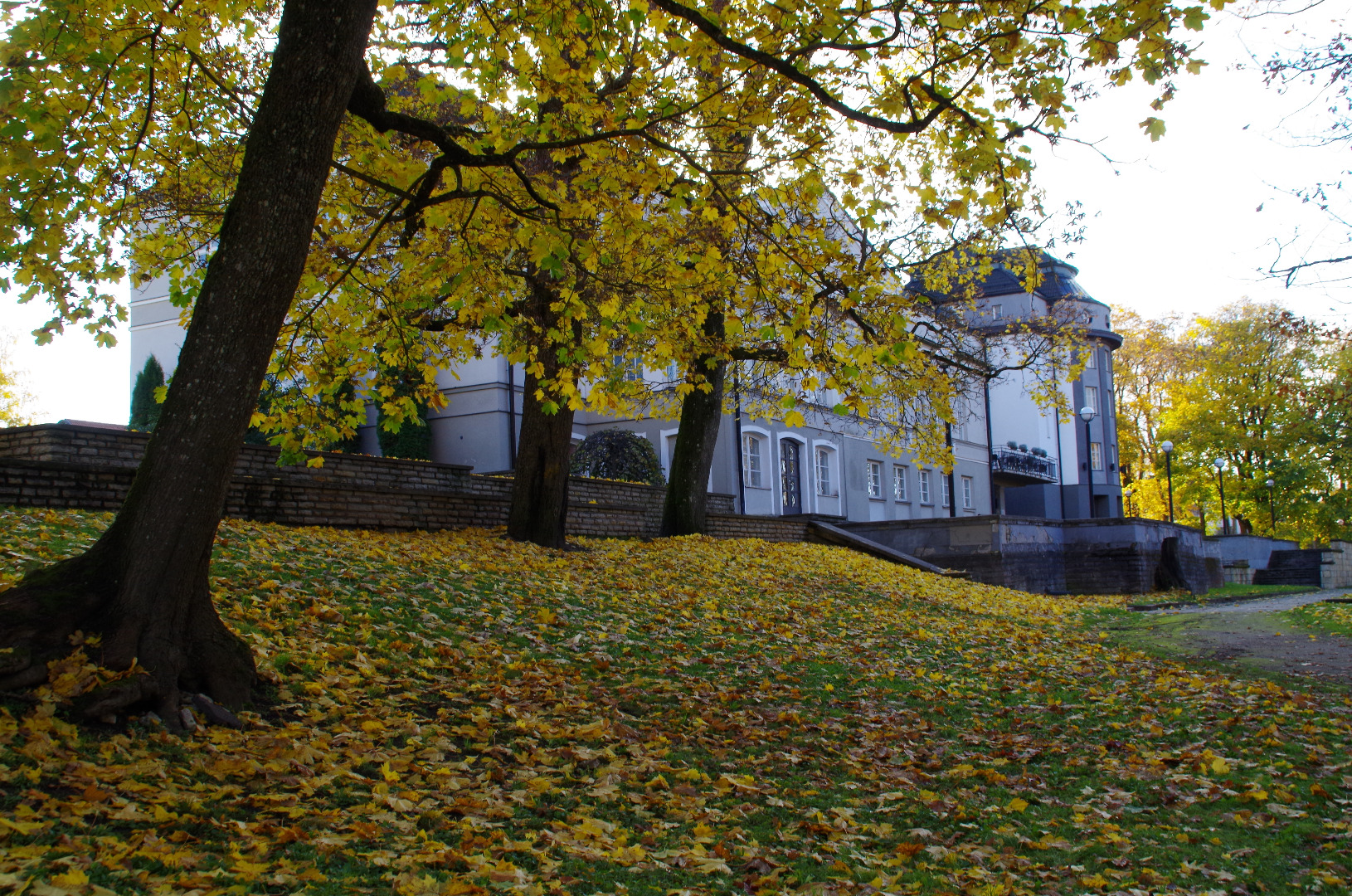 Rakvere teater, vaade. Arhitektid Johann Ostrat, Tõnis Mihkelson rephoto