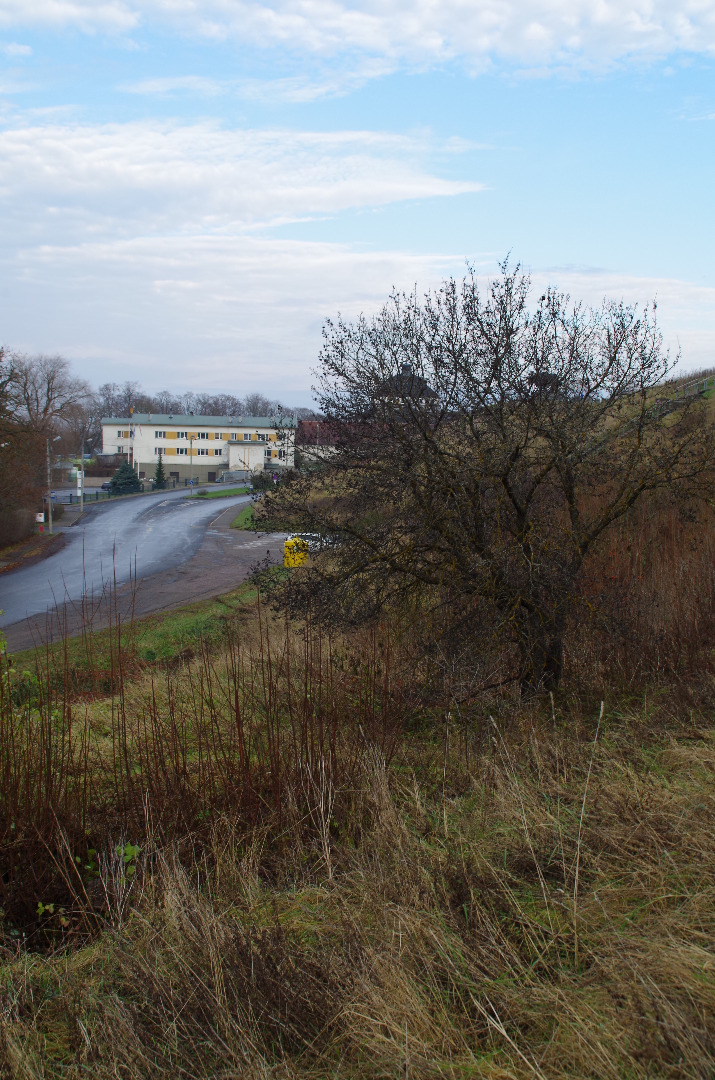 Rakvere, vaade Vallimäelt rephoto
