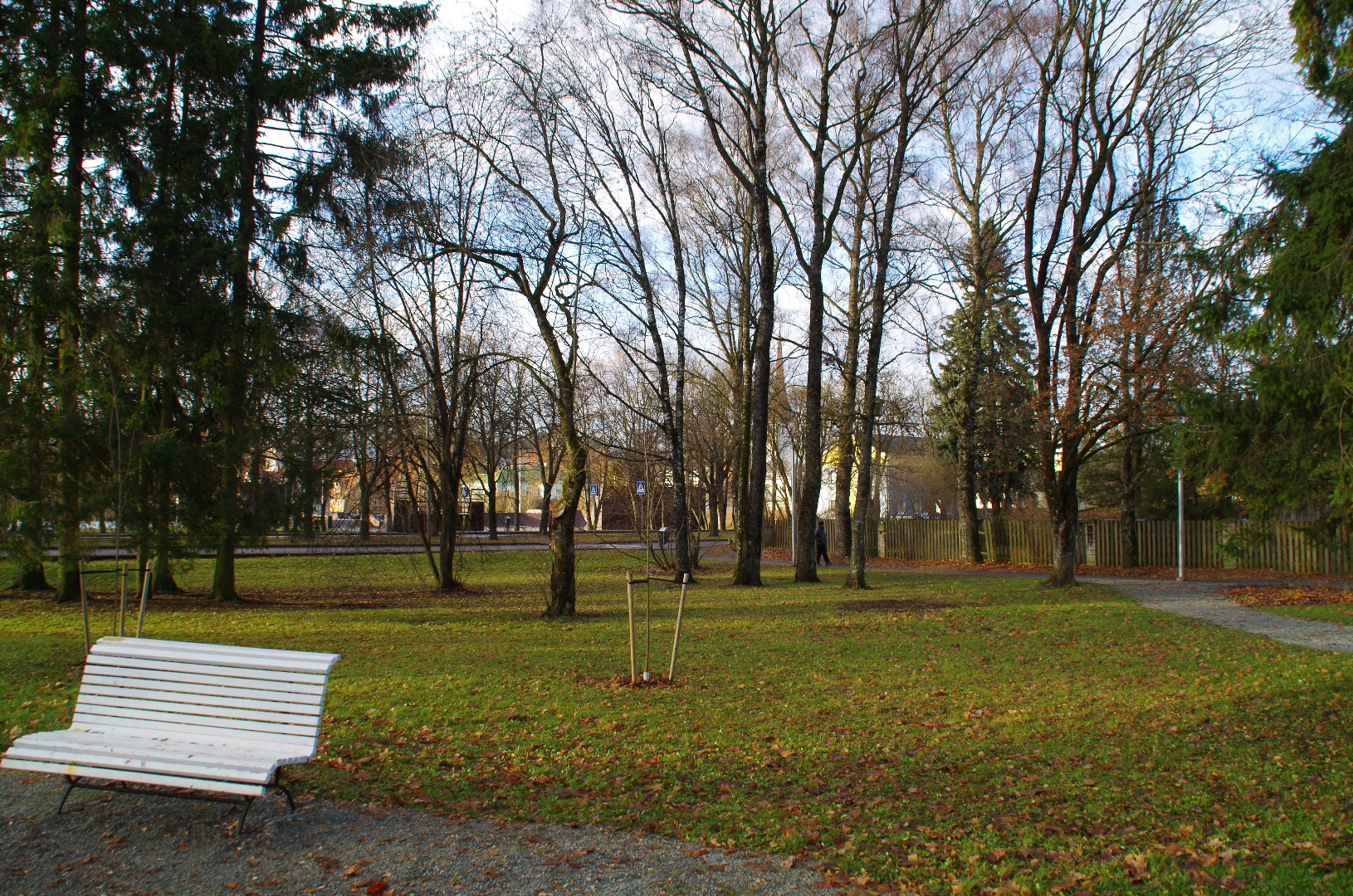 Rakvere, vaade Kastani pst äärsetele majadele rephoto