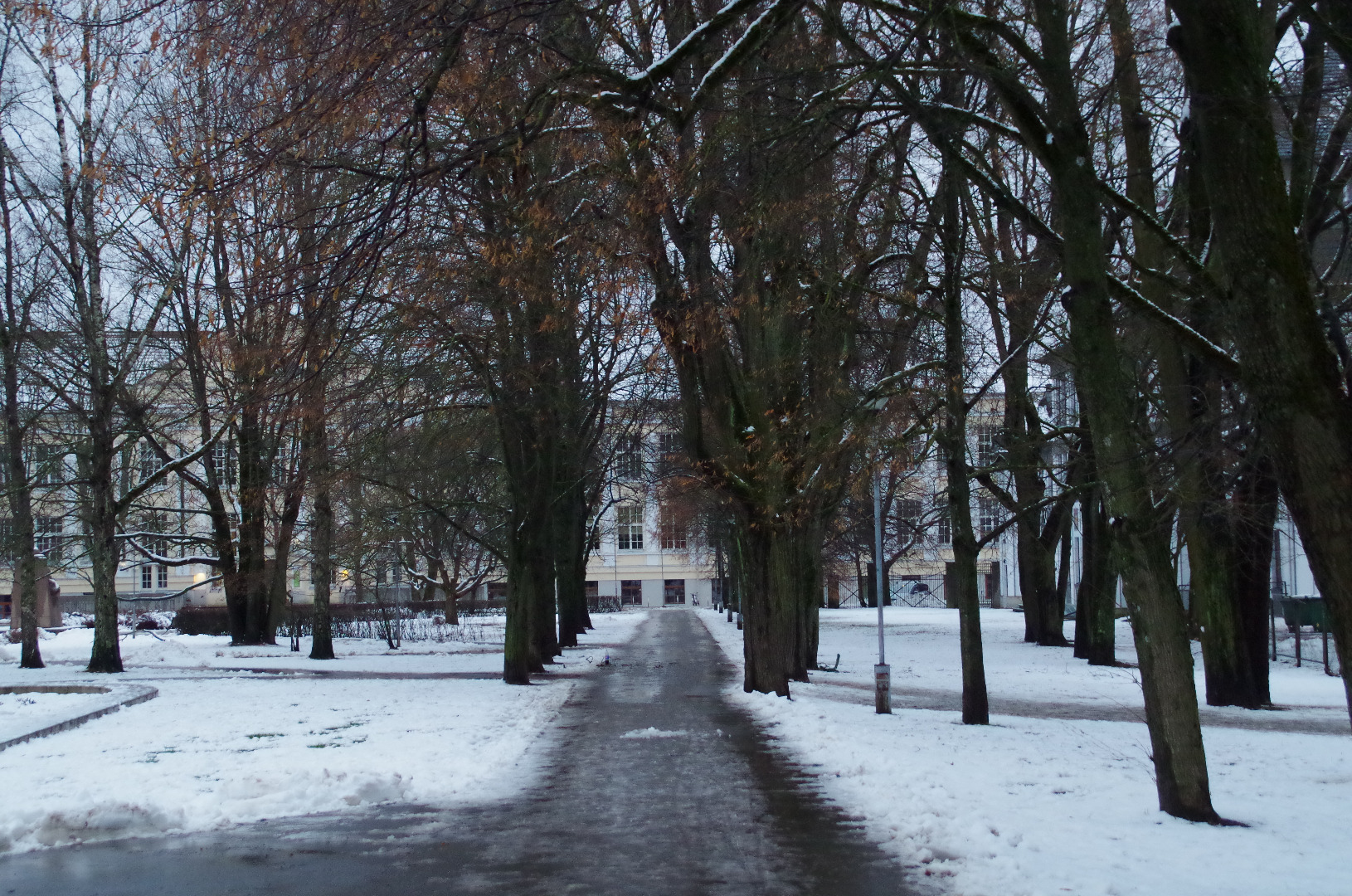 Tartu linnavaade. Saksa Käsitööliste Seltsi maja Tiigi tn. 20. sajandi algus. rephoto