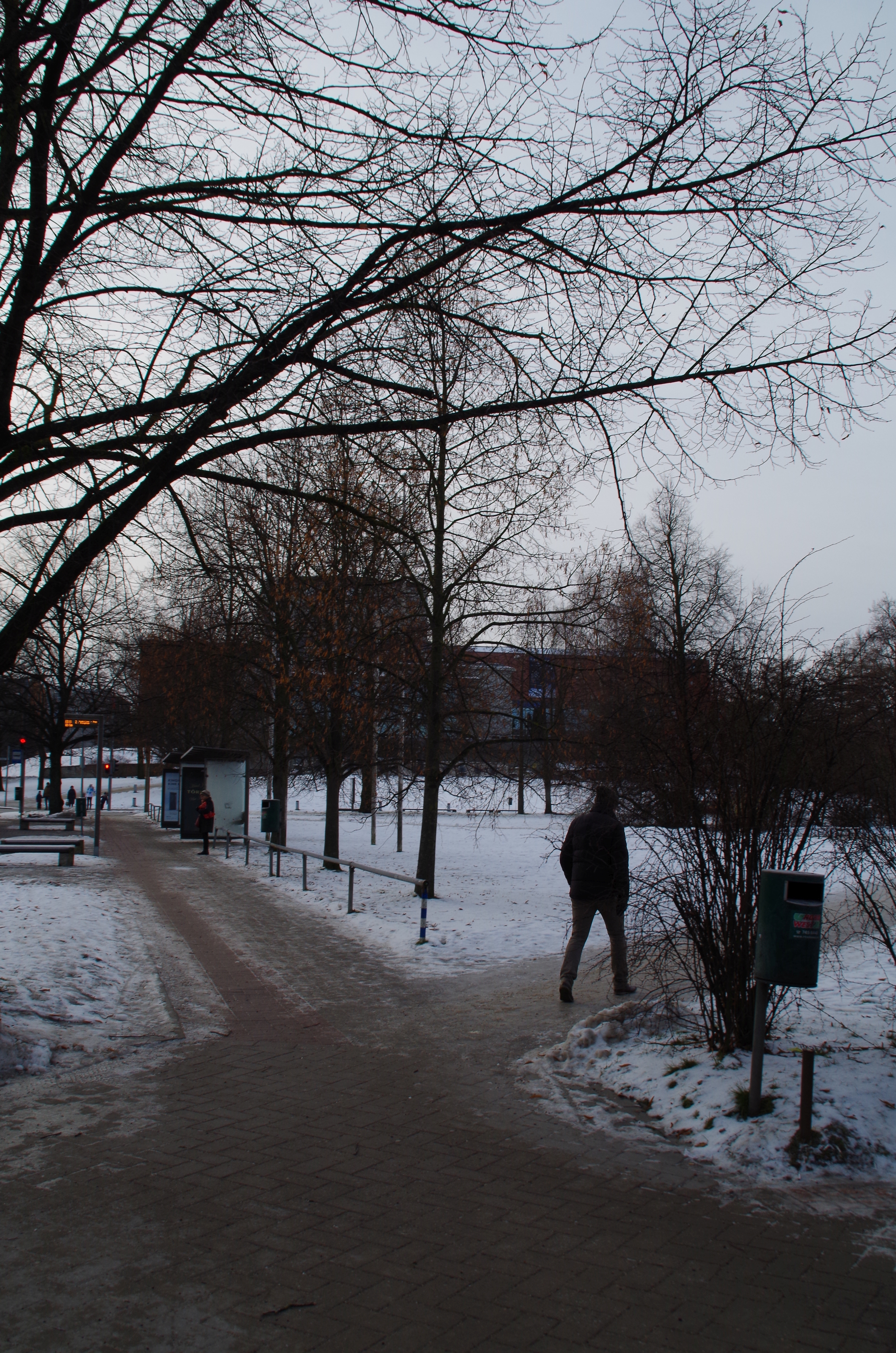 Tartu Motiv (Vanemuise ruins) rephoto