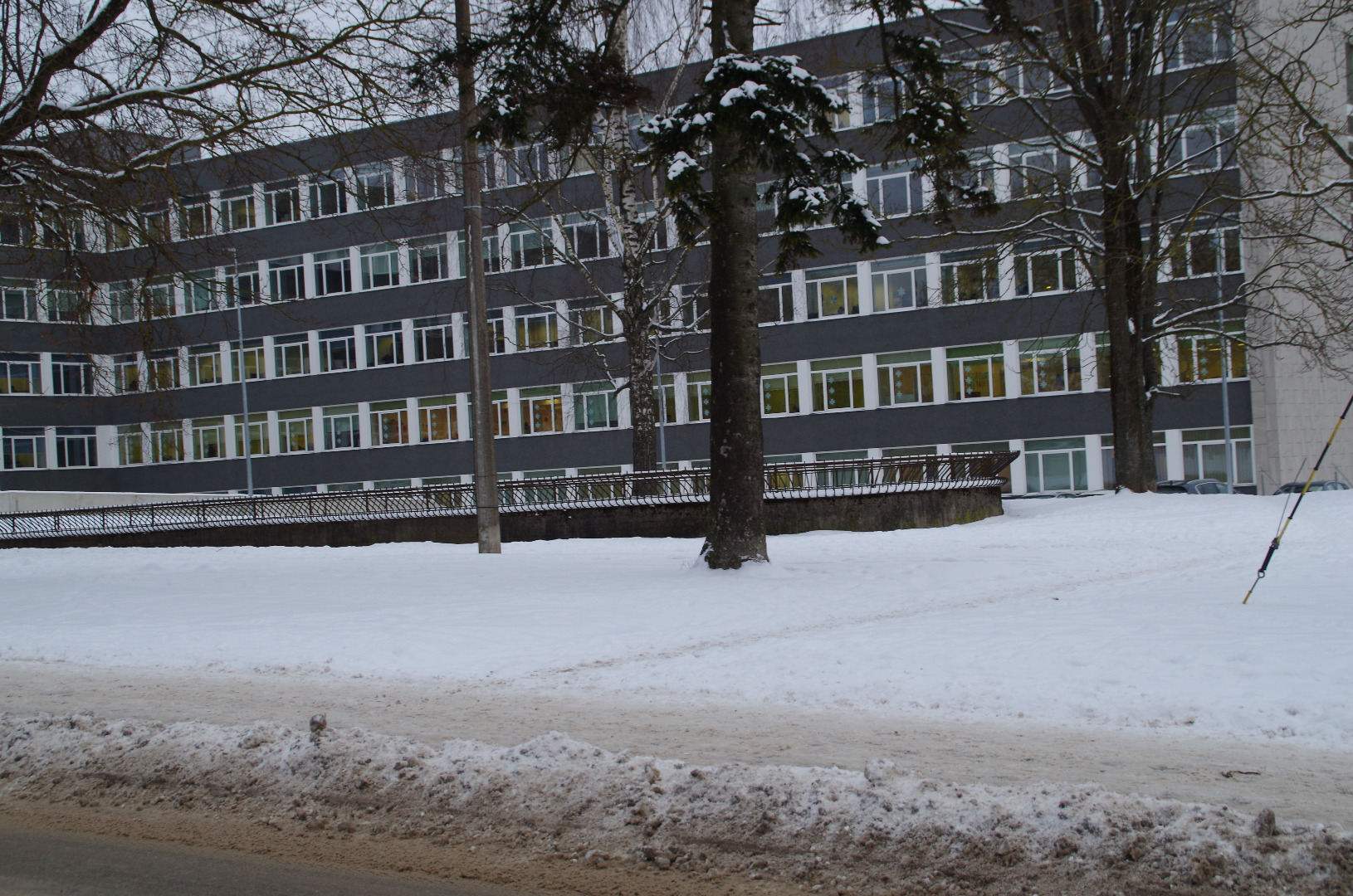 Karlova. Korporatsiooni "Ugala" maja (Tähe 40; asus Väike-Tähe t vastas.)
Tartu, 1920-1930. rephoto