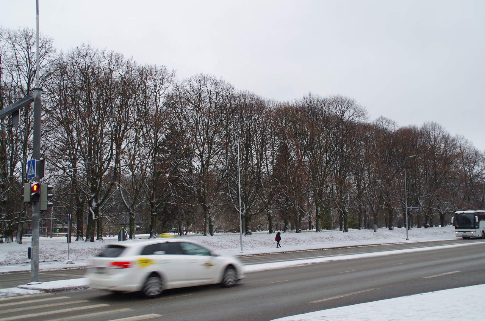 Tartu Sprinklerhouse rephoto