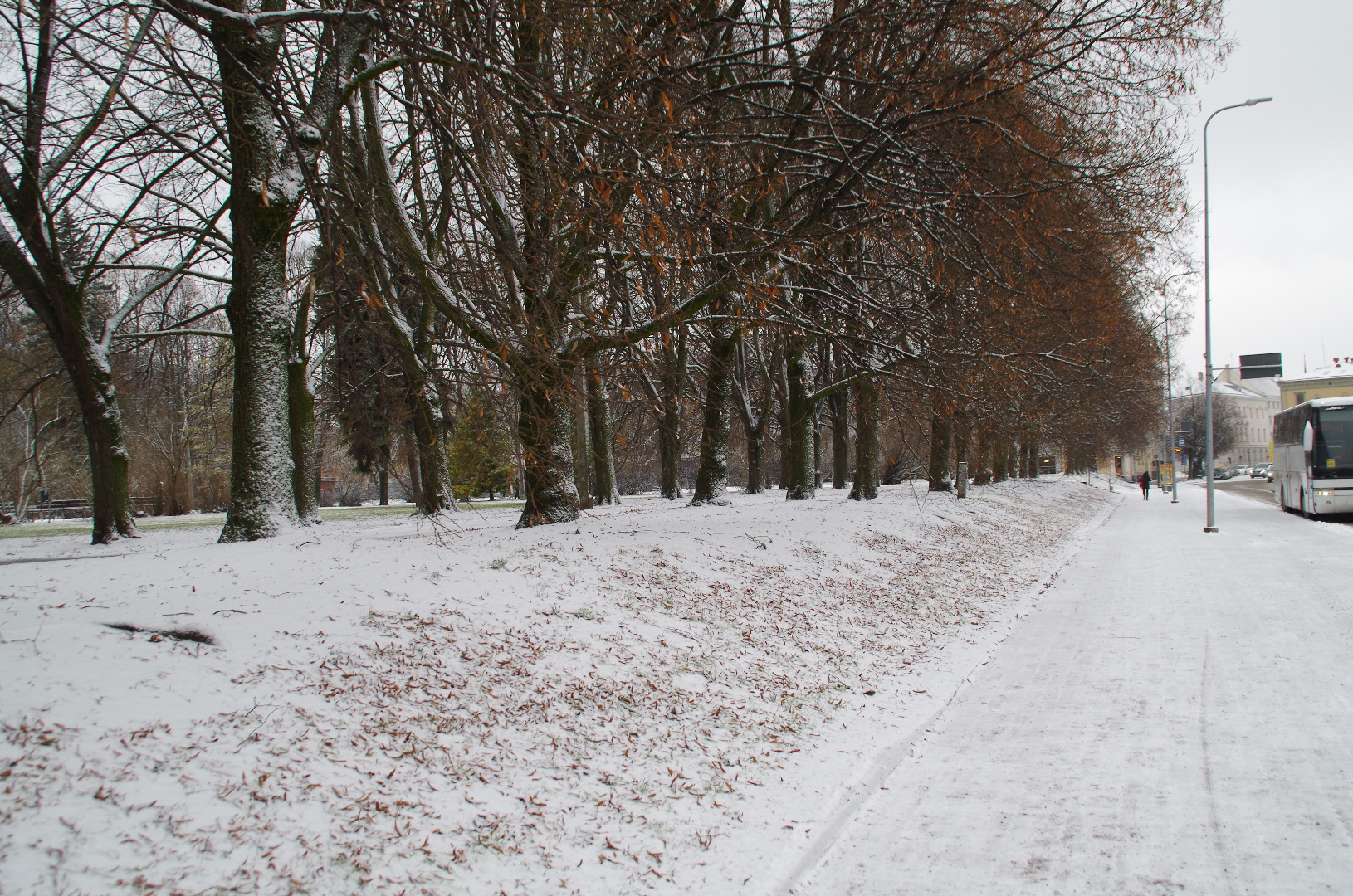 Tuletõrjejuhtide kursus Tartus, tuletõrjujate rivi Tartu kutselise tuletõrje depoo ees rephoto