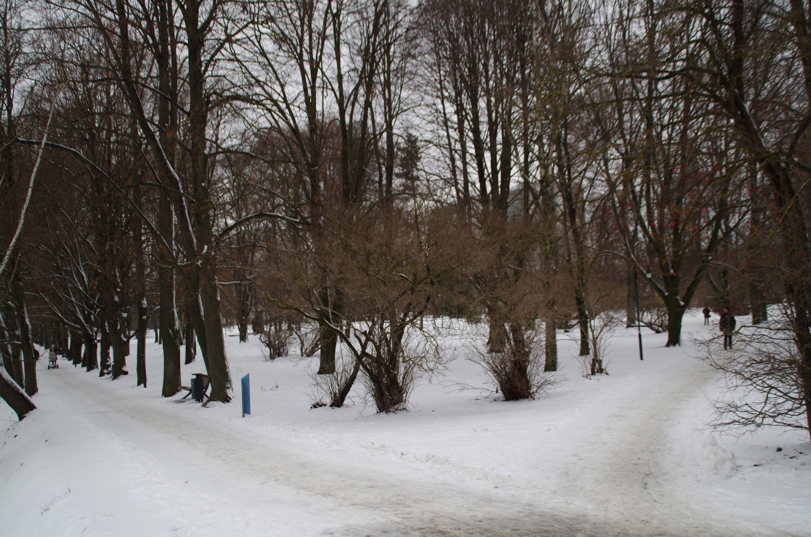 Foto. Sõjapurustused Tartus. Kalda tänav. rephoto