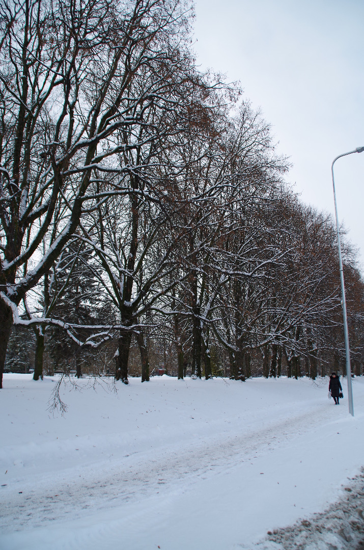 Demonstration of Tartu Free Fire Fire Fire Bridges, for their 60th anniversary in 1924 rephoto