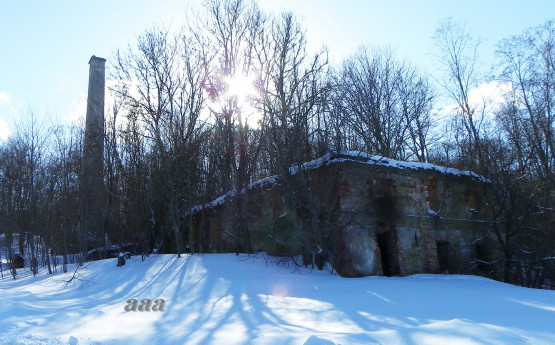 Ruins of the vineyard of Kalvi Manor rephoto