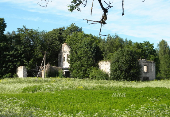 Photo Preedi winery ruins 1988 rephoto