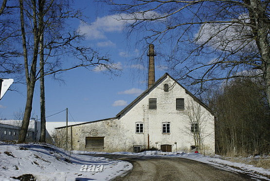 Photo, Dog, MTJ, earlier wine factory in 1959. rephoto