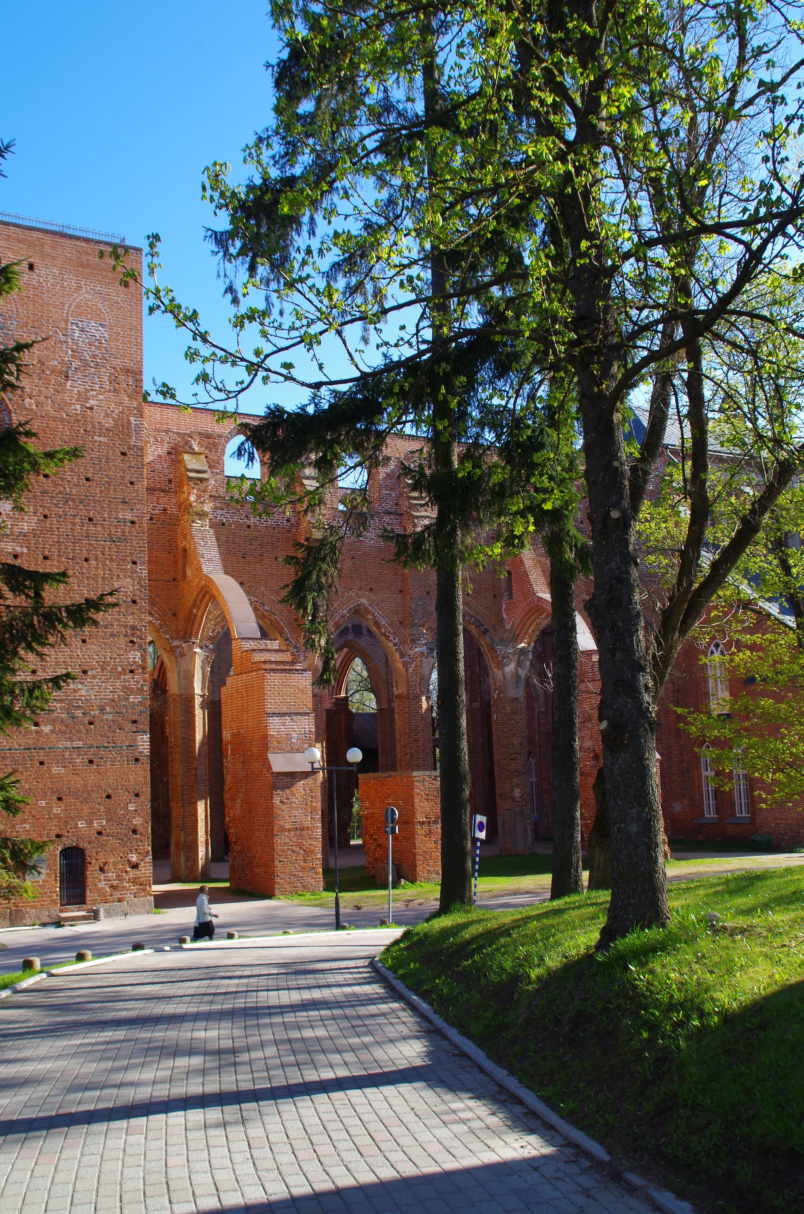 Ruins of Tartu Toomkirik rephoto