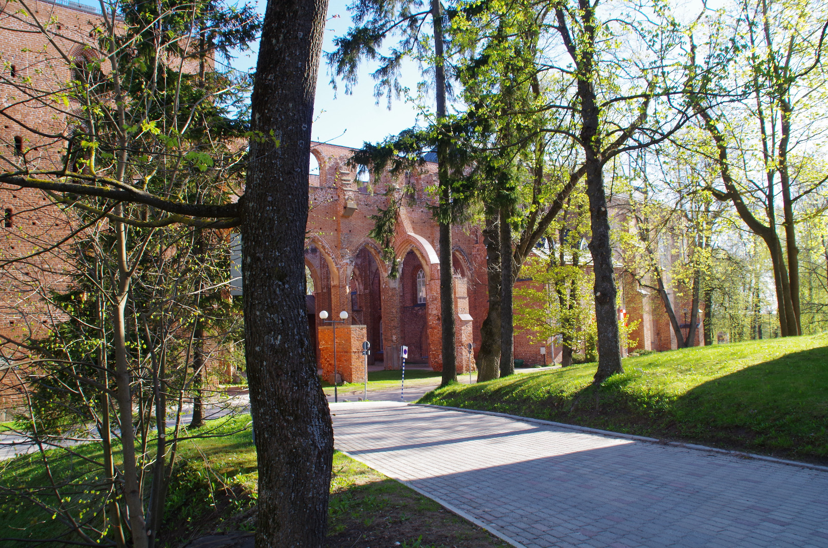 Toomkiriku varemed ja ülikooli raamatukogu - vaade edelast. rephoto