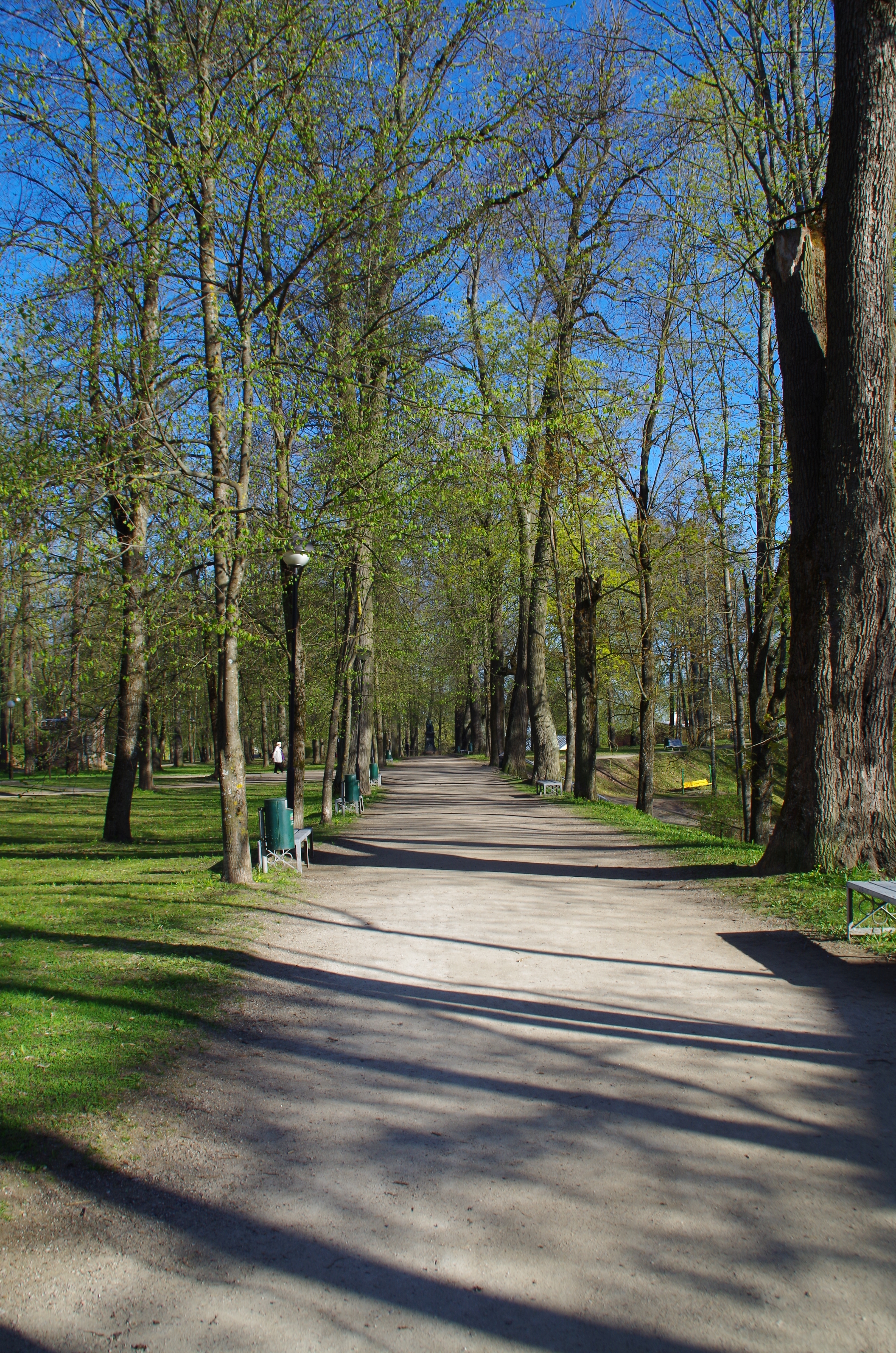 Tartu. Toomemägi rephoto