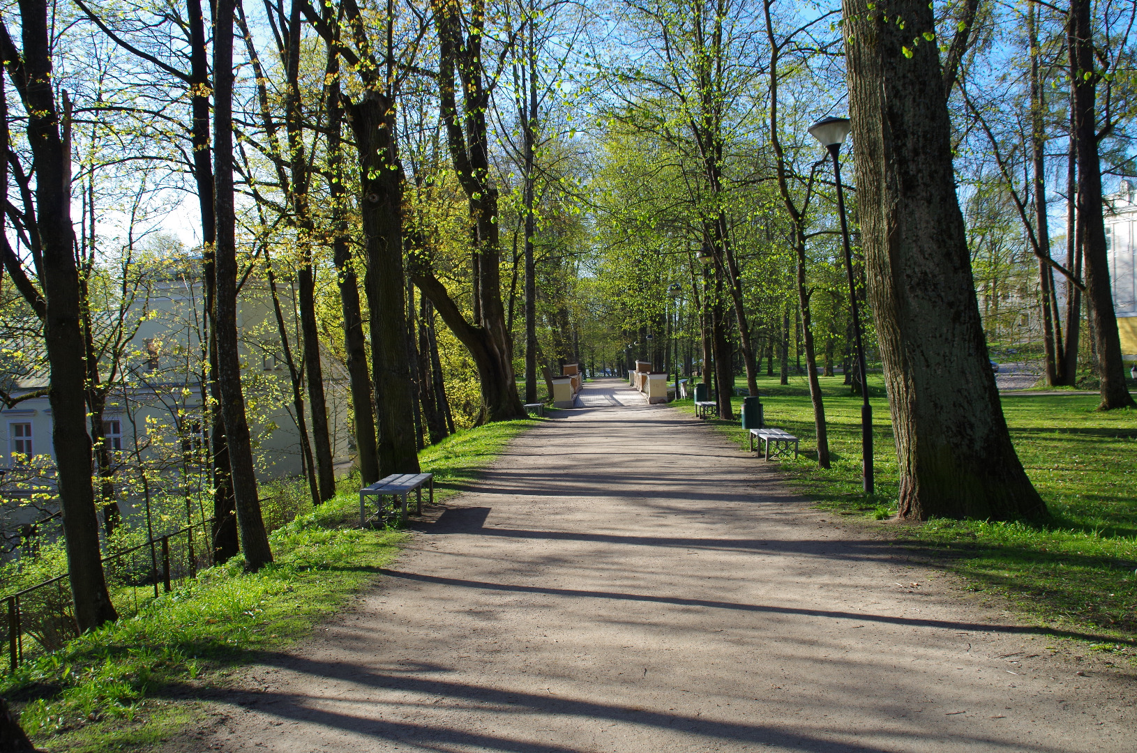 Allee Toomemäel ja Inglisild rephoto
