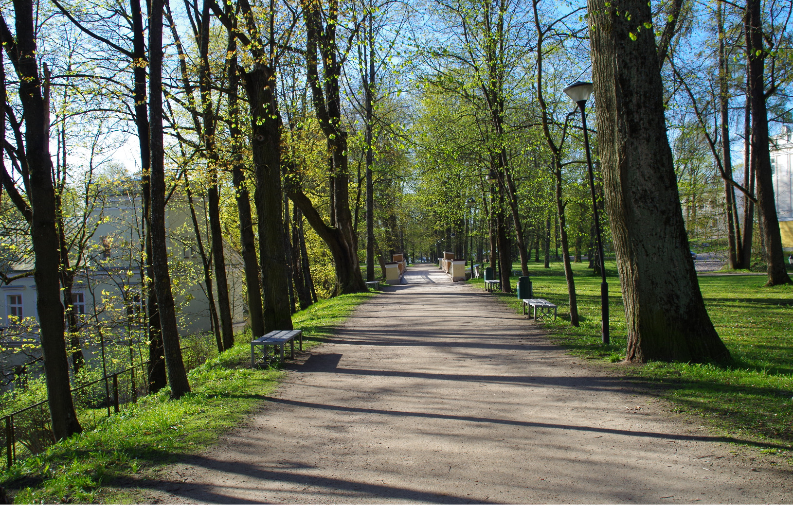 Allee Toomemäel rephoto