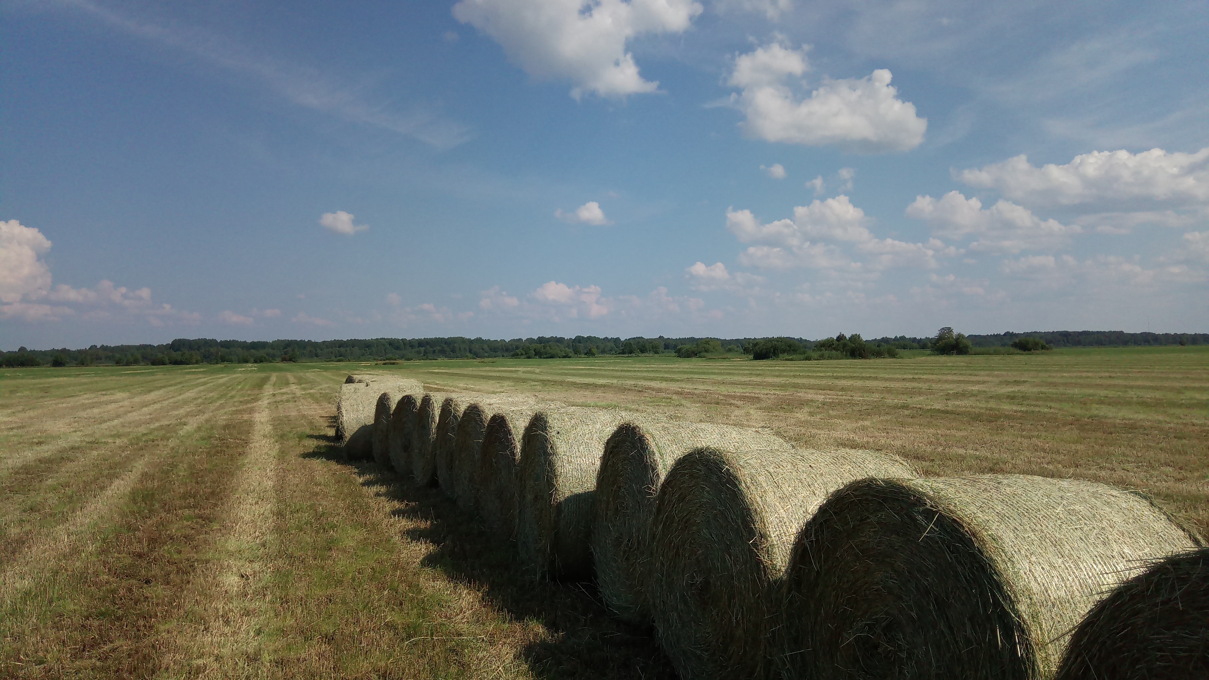 Photo. Kirbla sovhoosi heinapress luxury in 1973. rephoto