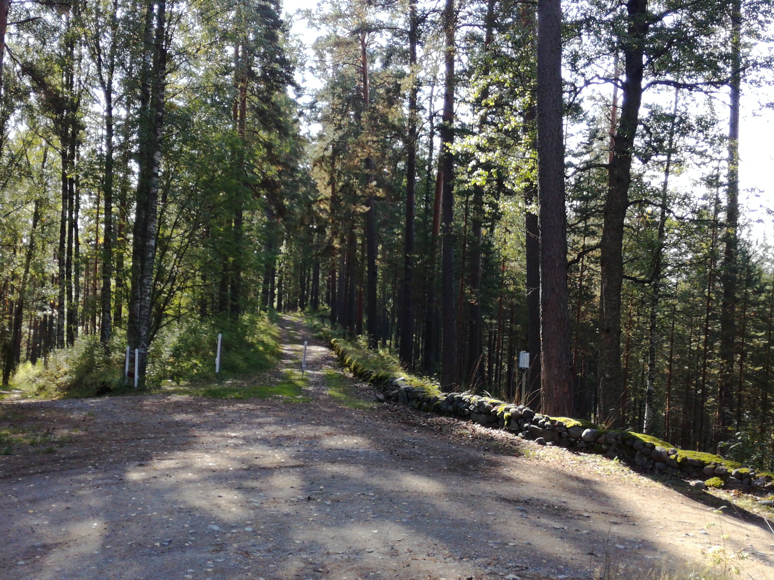 From the Valtion Hotel to the exercise: a view to the Laukanlahde rephoto