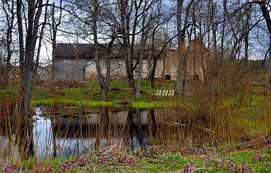 Ruins of the vine factory in the manor rephoto